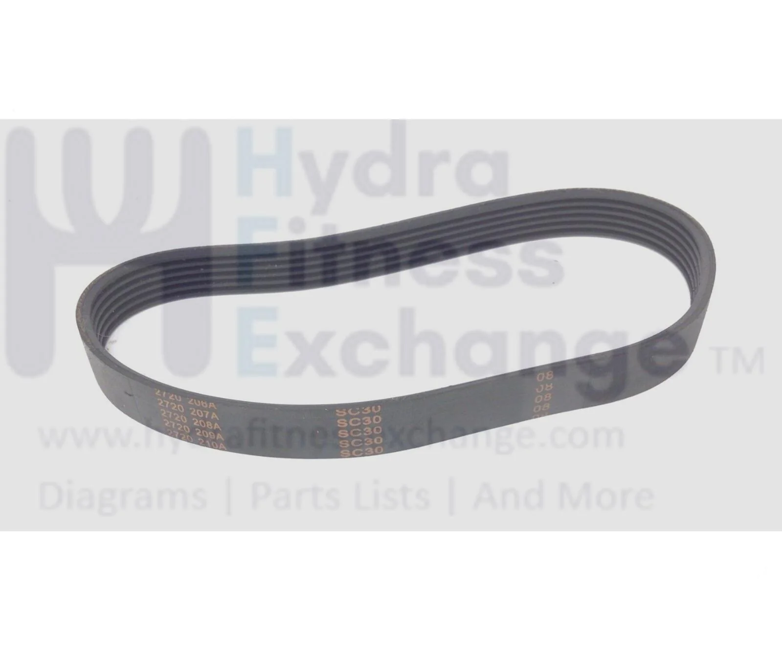 Sunny Health & Fitness SF-T7718 Treadmill Motor Drive Belt 16" MFR- 2720 C32 - Image 2