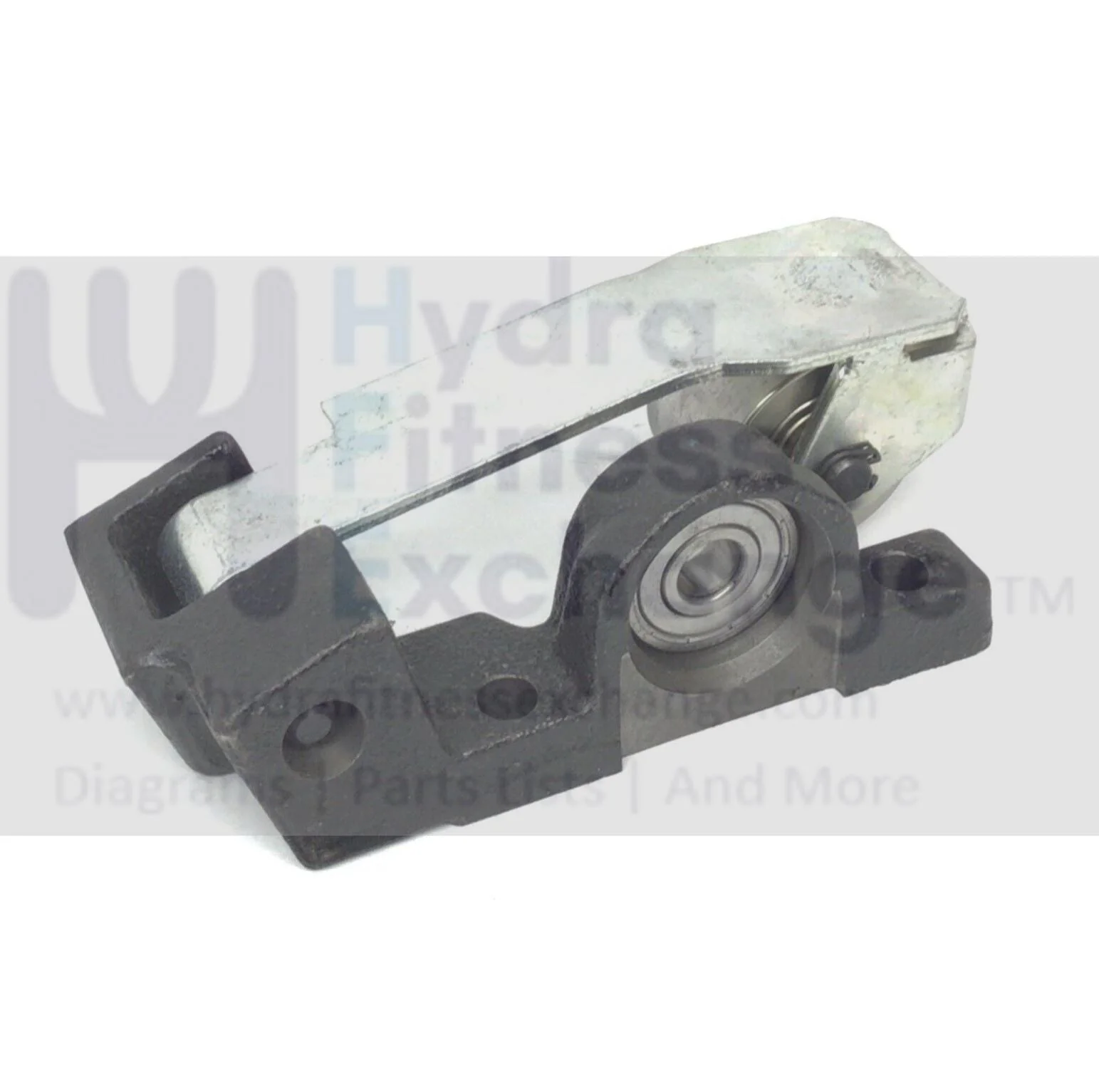 Technogym Elliptical Idler Pulley Assembly with Bearing Race & Frame T0000549AB