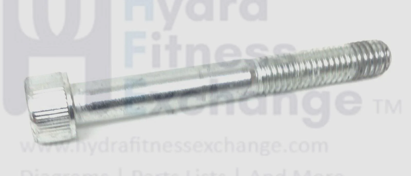 Technogym Excite Run Now 700 & 900 Treadmill Socket Cap Screw M10x1.5x77mm