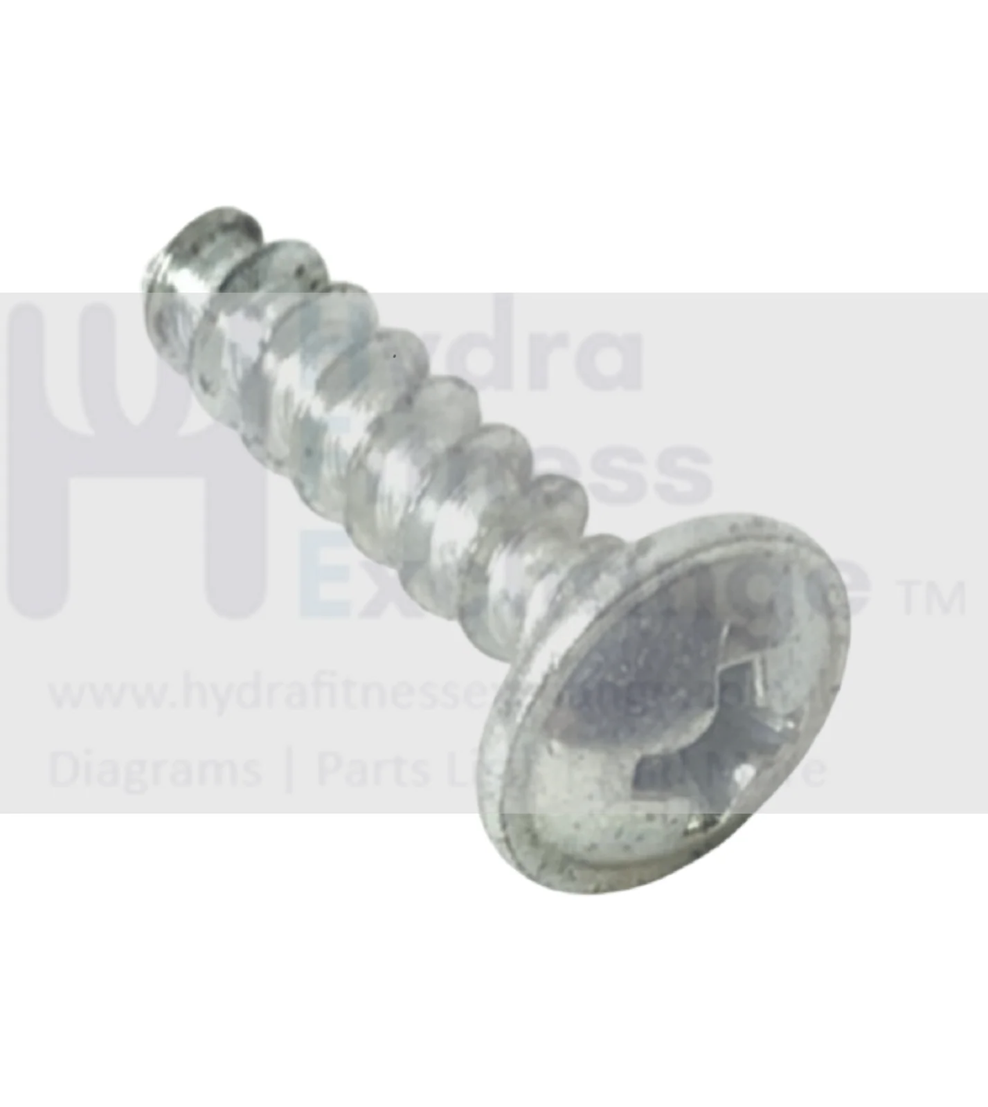 Technogym Skillrun DJJ0AU Treadmill Phillips Bracket Screw 16mm 37916