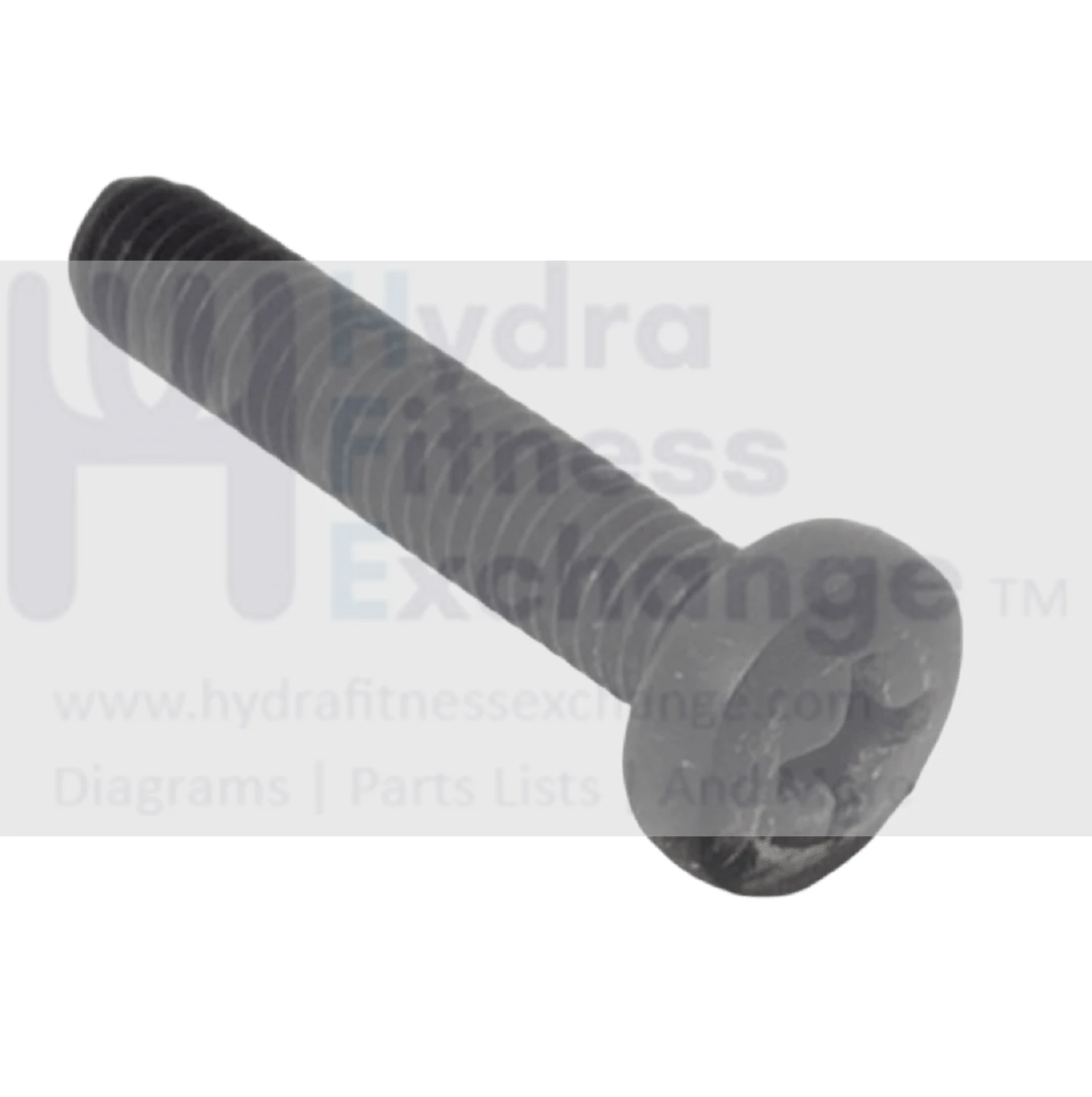 Technogym Skillrun DJJ0AU Treadmill Phillips Machine Screw M5-0.8 11mm