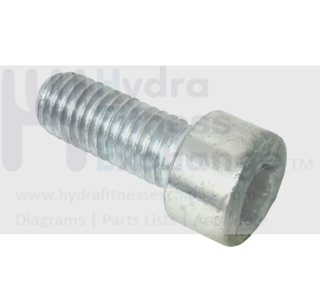 Technogym Treadmill Round Head Hex Socket Screw w/Washer M8 - 1.25 x 20mm 34109