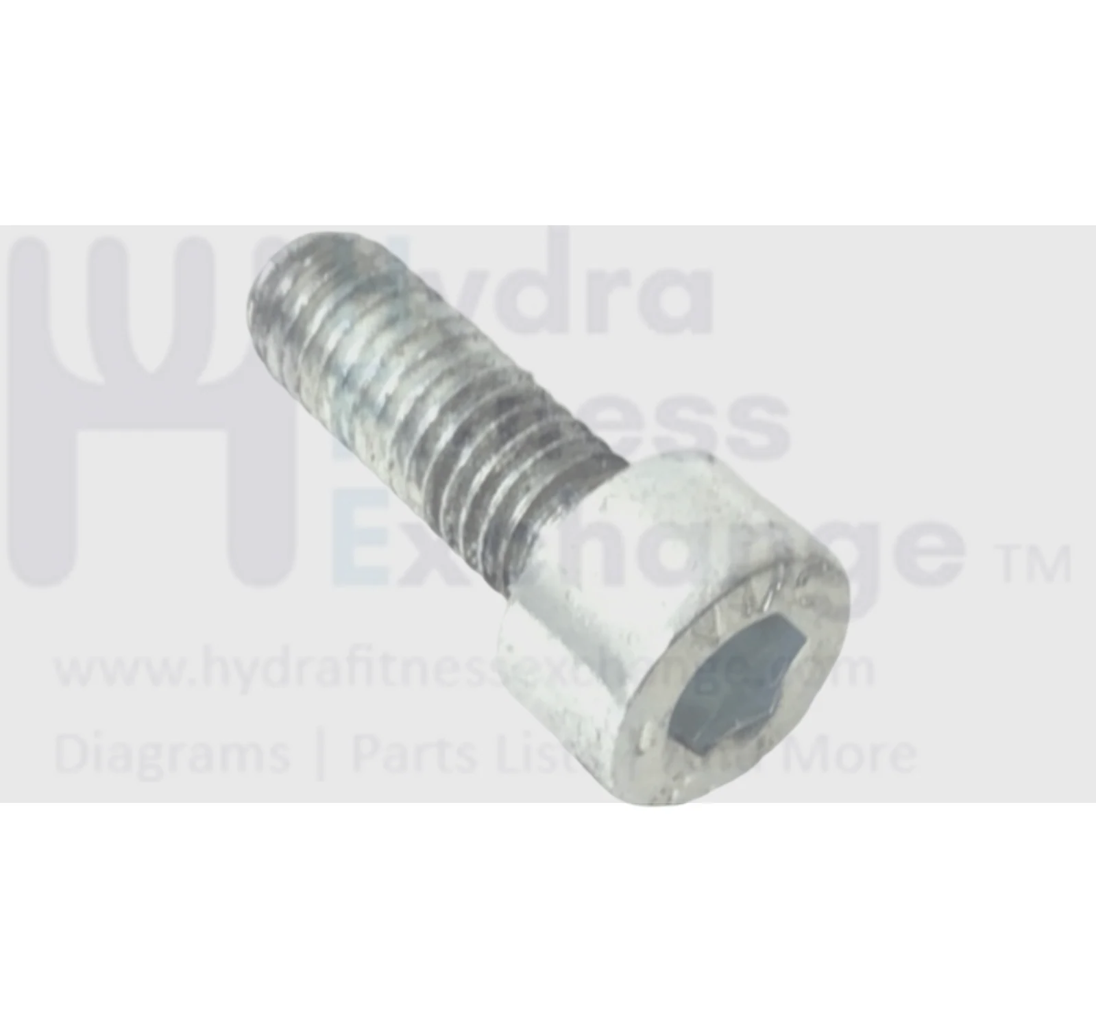 Technogym Treadmill Round Head Hex Socket Stainless Steel Screw M5 - 0.8 x 14mm