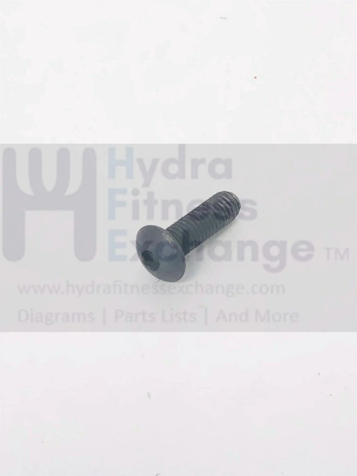 Life Fitness Brake Screw REXOJZU