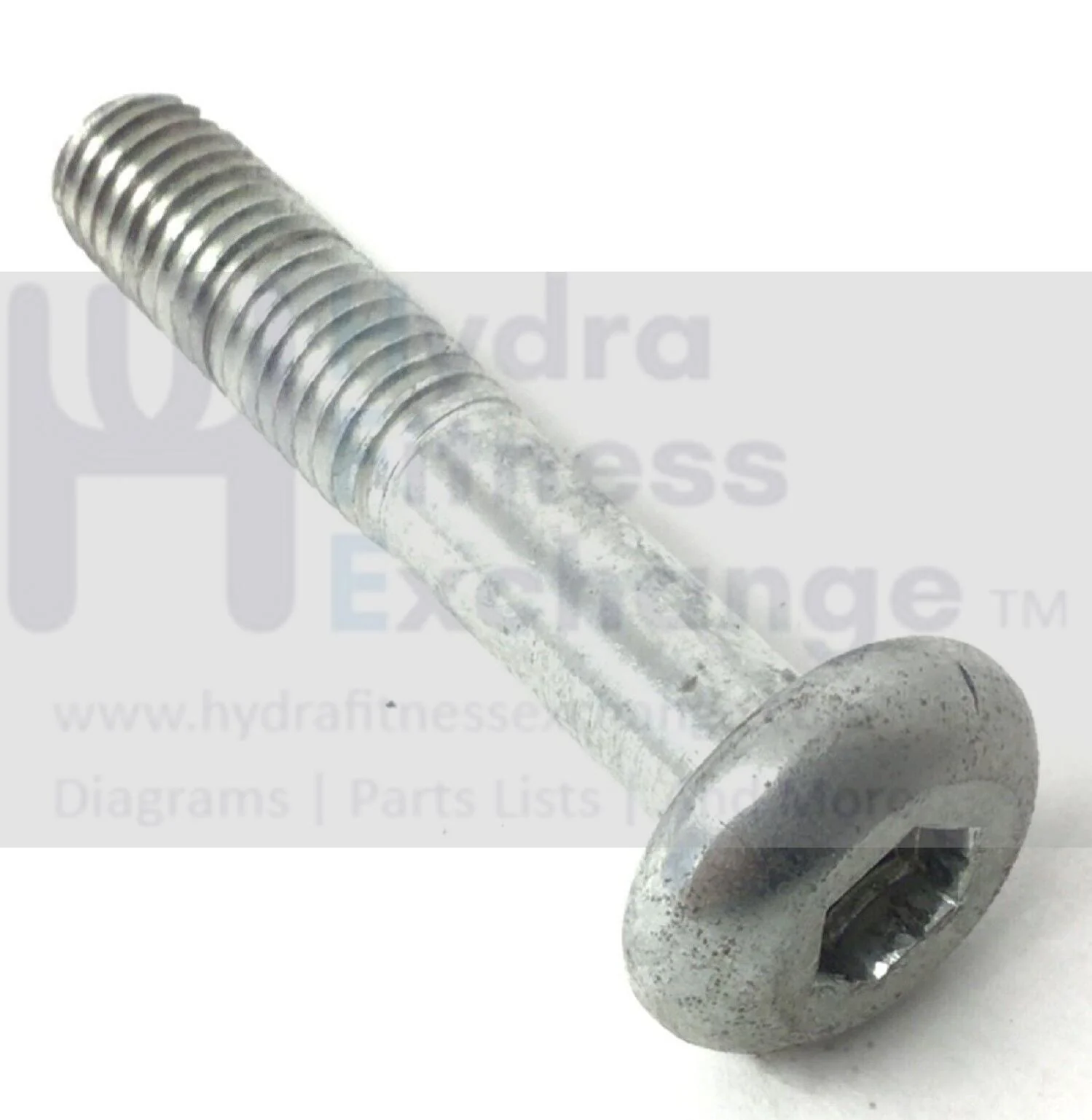 Trimline Schwinn Stationary Bike Chrome Button Head Screw M8-1.25x45mm 18072