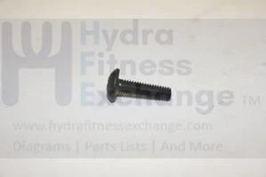 Triumph AFG Merit Matrix Tempo Vision Horizon Fitness Elliptical Phillip Screw 4x0.7"/15" 004357-00