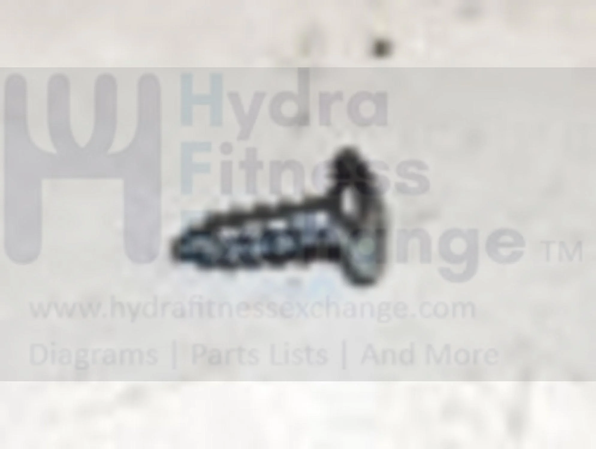 Triumph Fitnessgear Horizon Fitness Treadmill Tapped Screw 2 x 6L 004607-00 - Image 2
