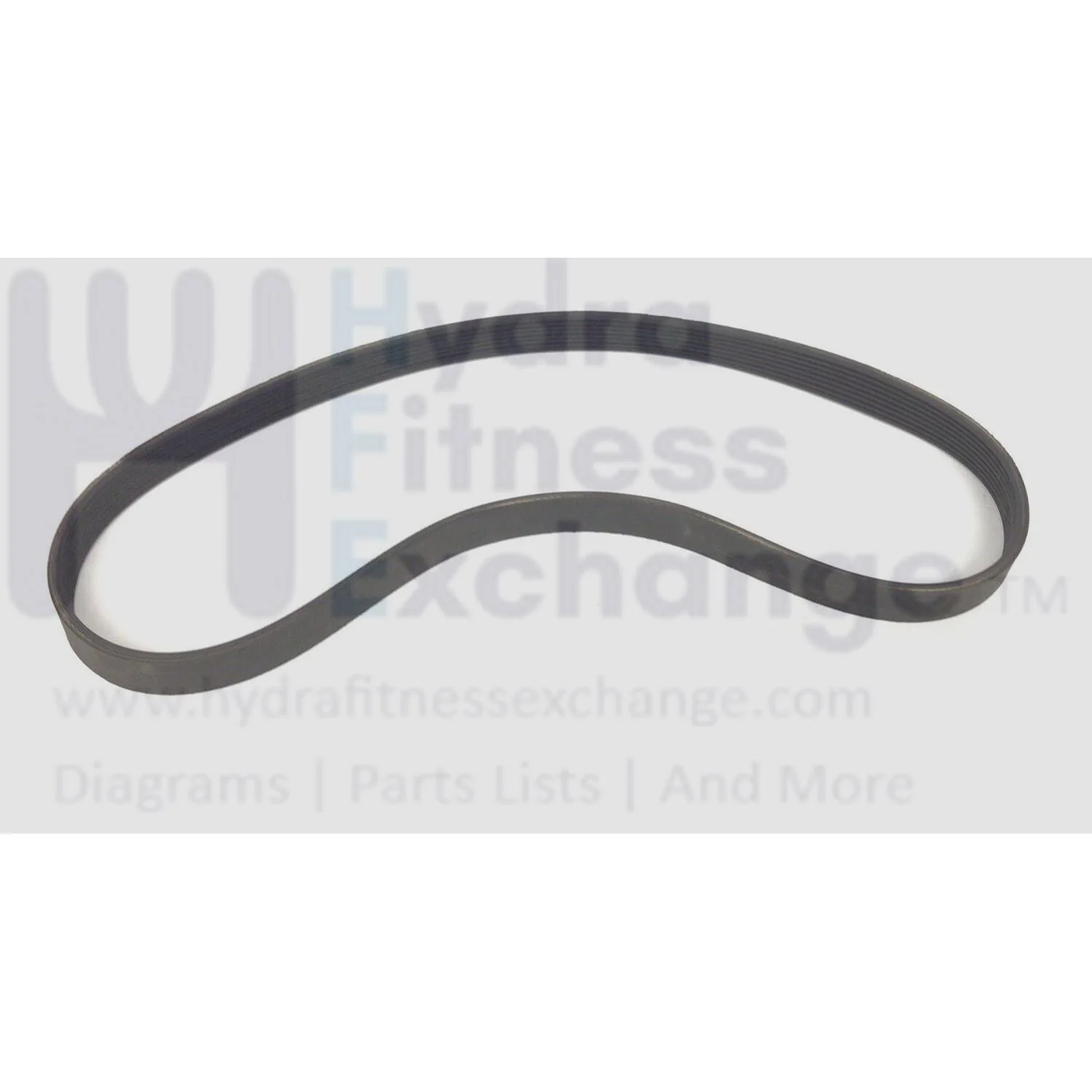 True CS900 RCS900 TCS900 Recumbent Bike Pulley Drive Belt 29" 8 Ribs 9RCS0028 - Image 2