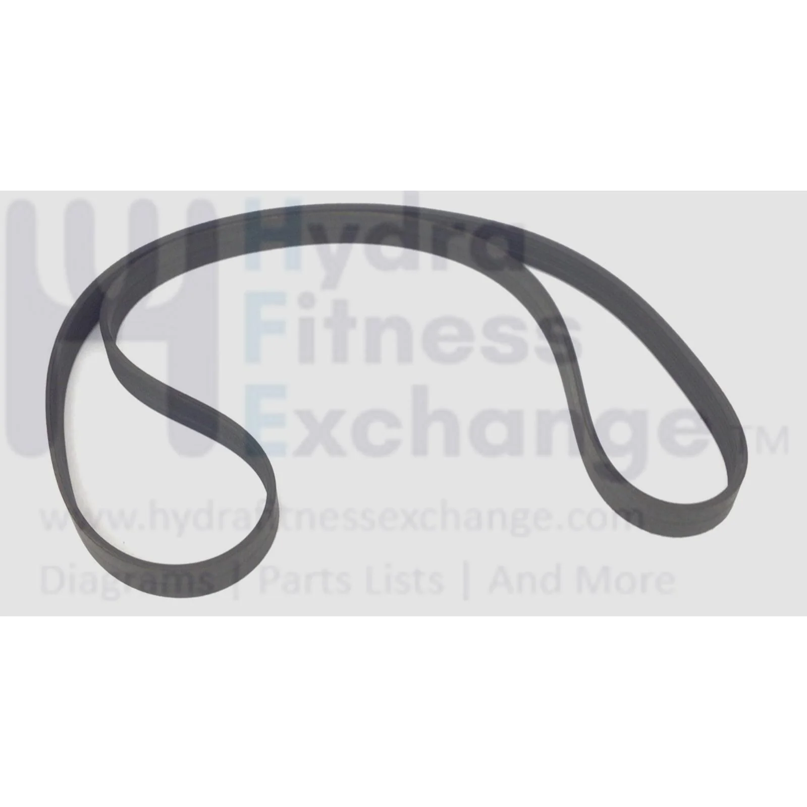 True CS900 RCS900 TCS900 Recumbent Bike Pulley Drive Belt 41" 8 Ribs 9RCS0021 - Image 2