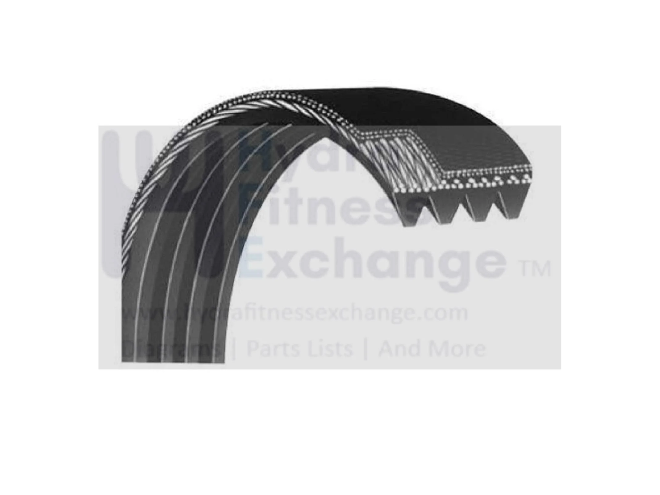 True Fitness CS800 - RCS800 Stationary Bikes Motor Drive Belt 9CS80022-A