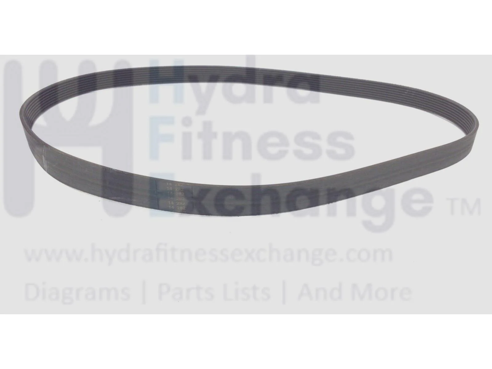 True Fitness CS900 - RCS900 Recumbent Bike Pulley Drive Belt 41" 8Ribs 9RCS0021 - Image 2