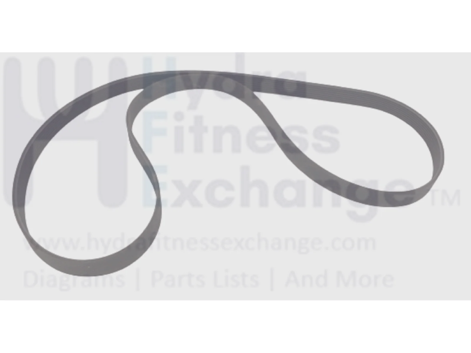 True Fitness CS900 UCS900 Stationary Bike Pulley Drive Belt 51" 9UCS0038