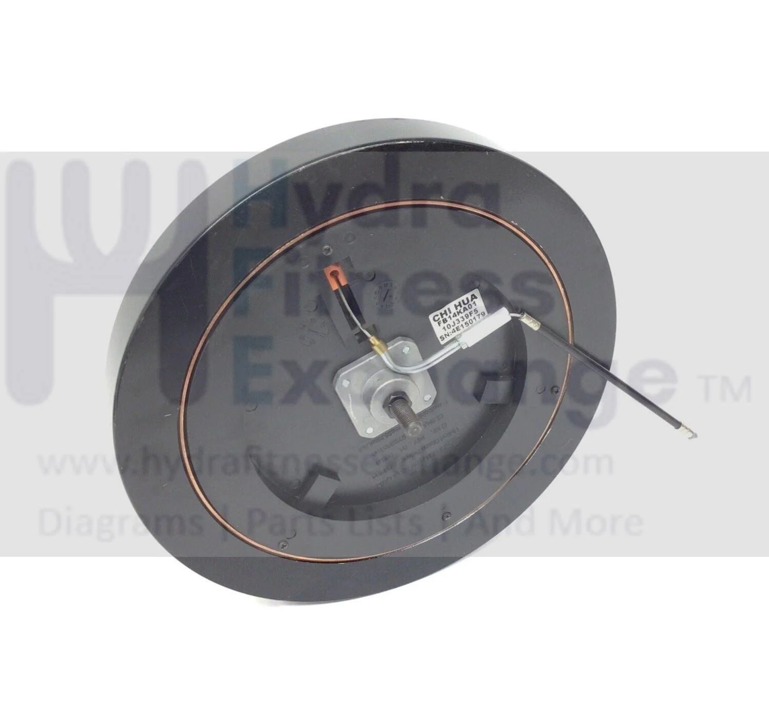 True Fitness ES900 ES700 Elliptical ECB Eddy Magnetic Brake Assembly 9XPS0005 - Image 2