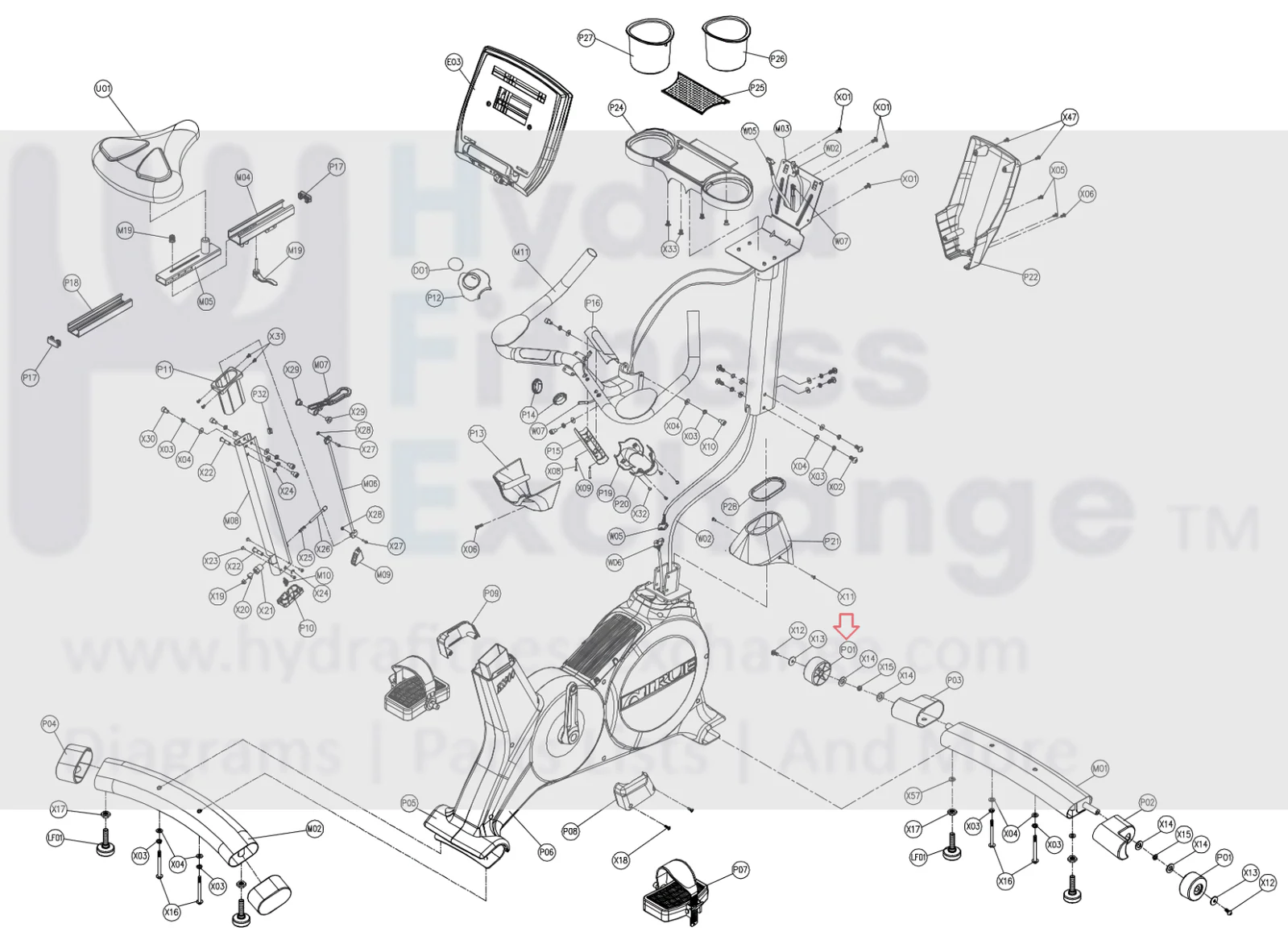 True Fitness ES900 UC400 Stationary Transport Wheel with Bolt & Washer 9UCS0043 - Image 2