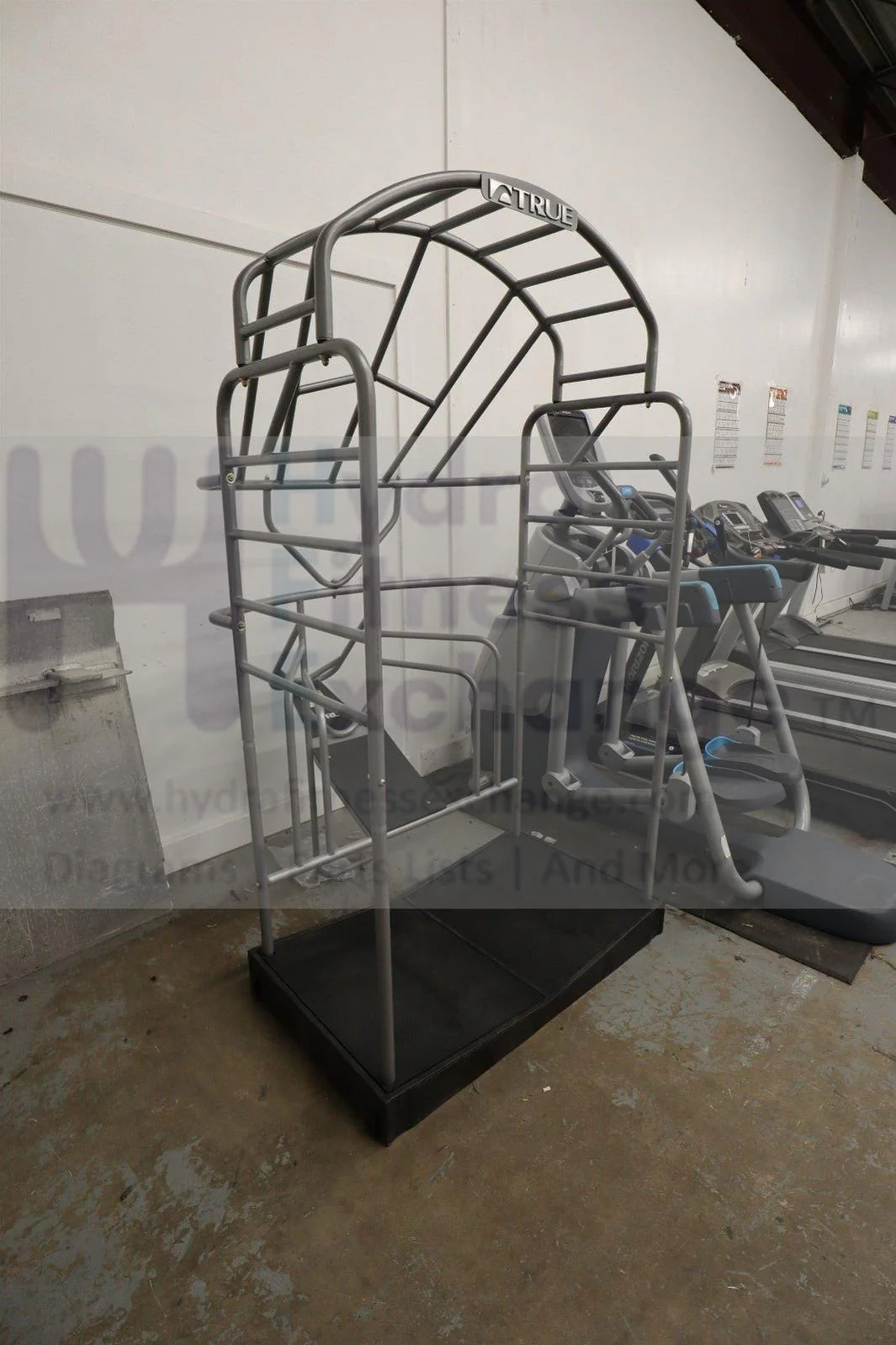 True Fitness Stretch Cage Strength System - Image 2