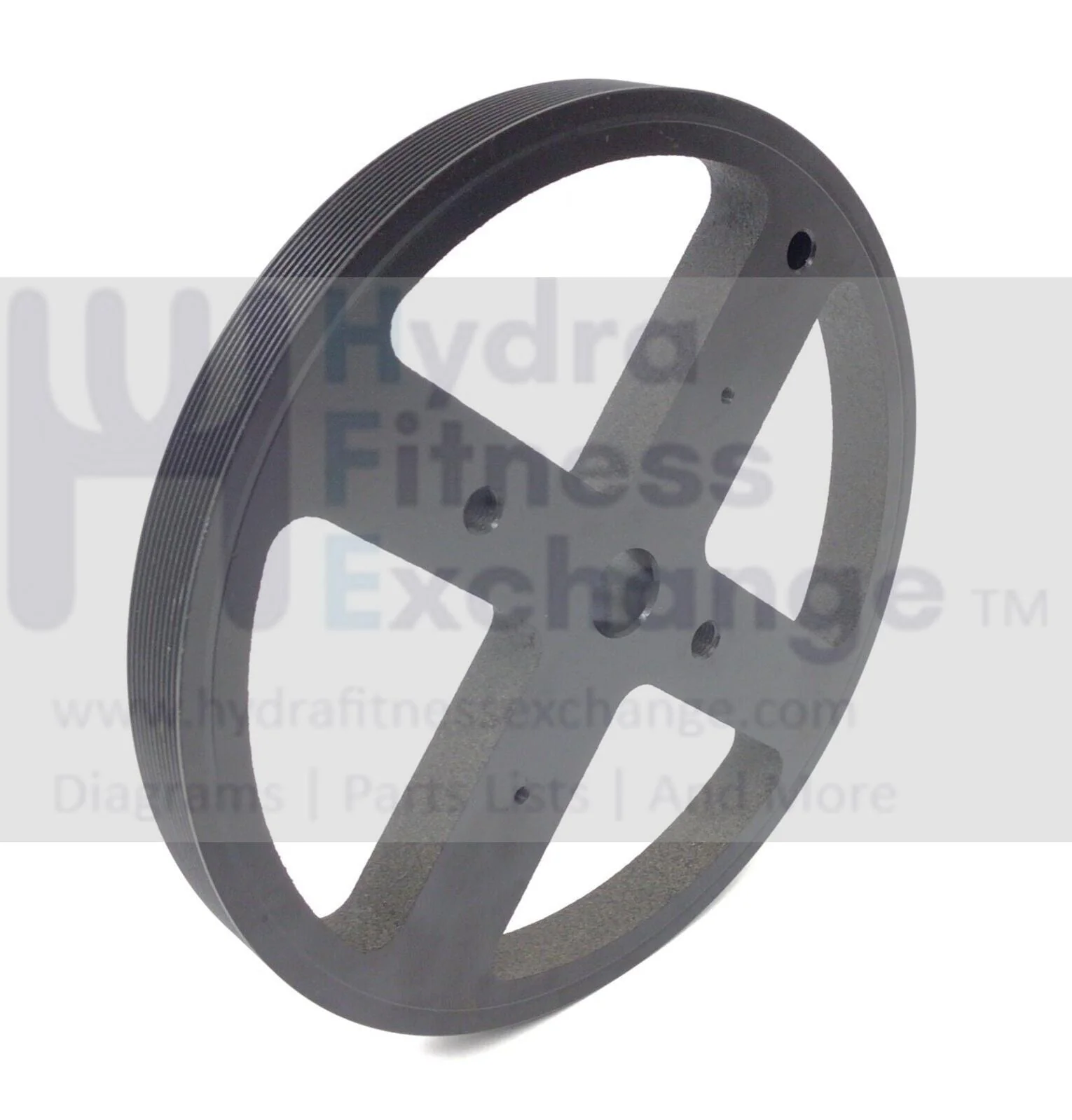 True Fitness TSX XLC900 XPSX XTX Elliptical Flywheel Pulley 9SX0009A