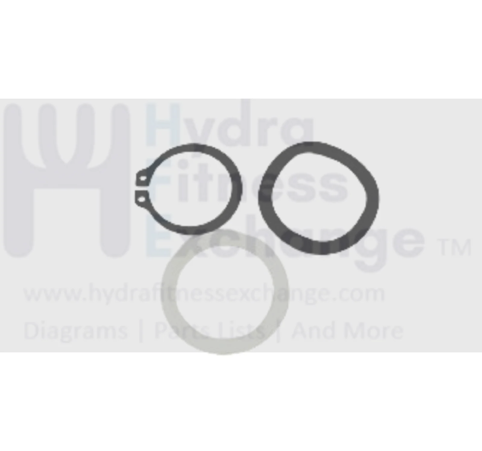 True Fitness XCS800 - CS800 Elliptical Arm Retainer with Wave Washer & Snap Ring