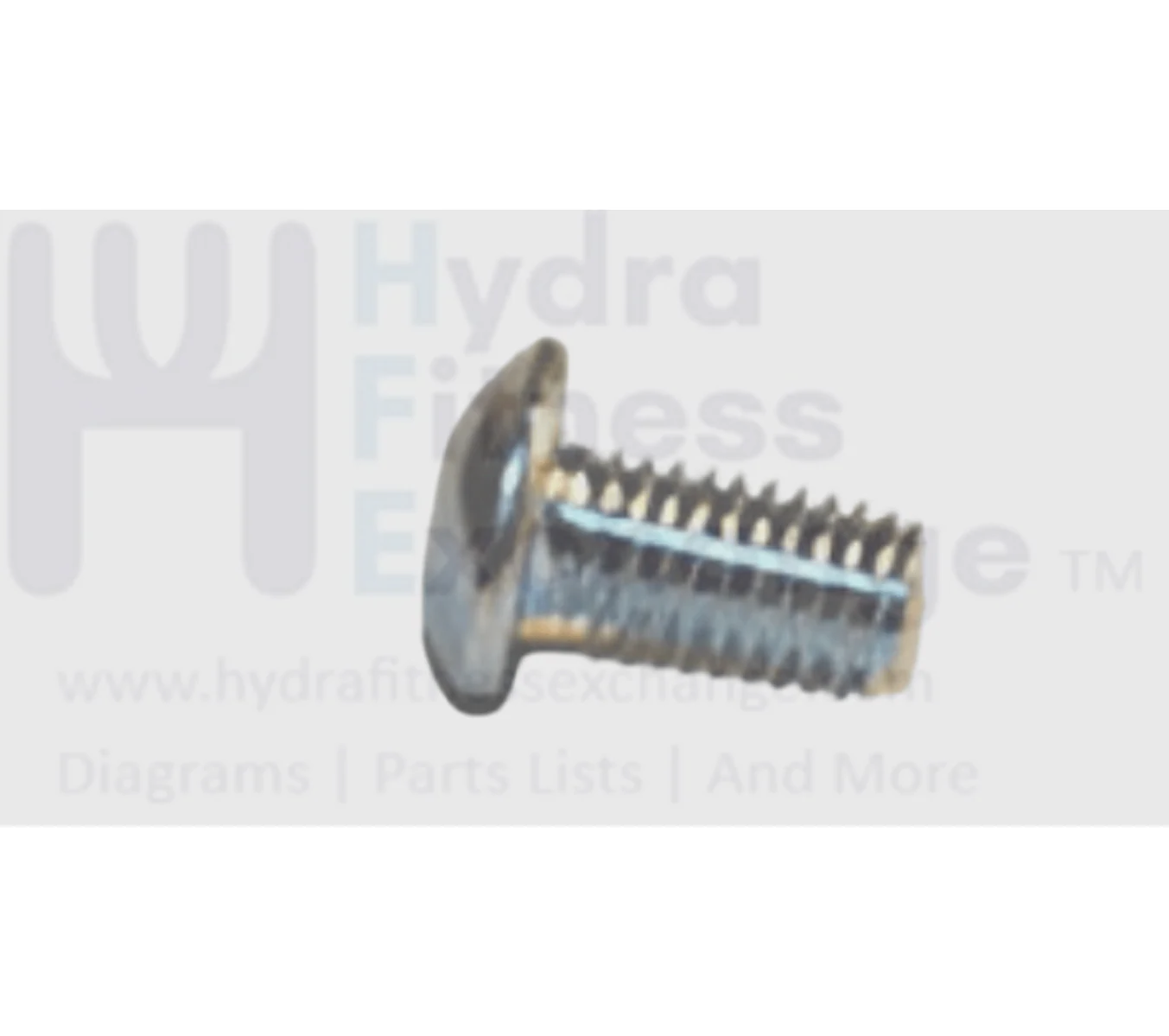 Vision Fitness Elliptical Button Head Hex Socket Screw M5 - 0.8P x 10L 020256-AC