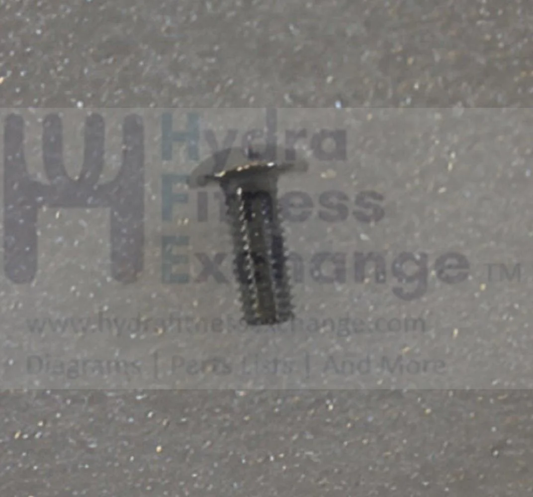 Vision Fitness Elliptical Button Head Phillip Screw M5 - 0.8P x 12L 004385-AC - Image 2