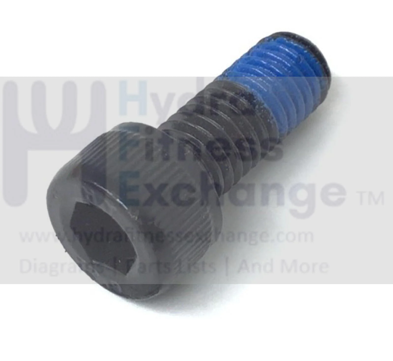 Vision Fitness Elliptical Round Hex Socket Screw M8x1.25Px20.0L 0000085361