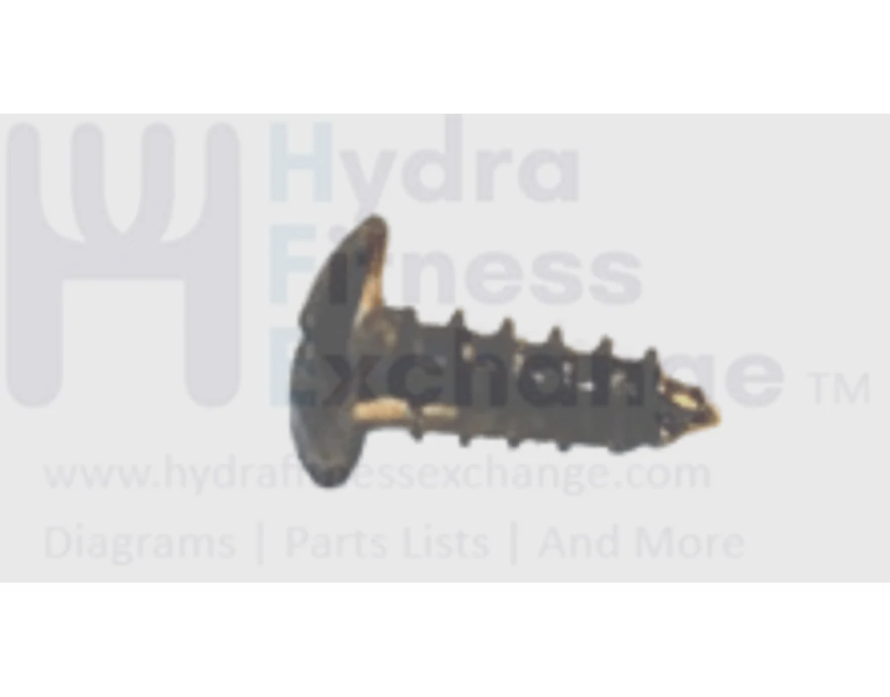 Matrix Fitness Elliptical Umbrella Cross Tapped Screw 4 x 12L 004616-00