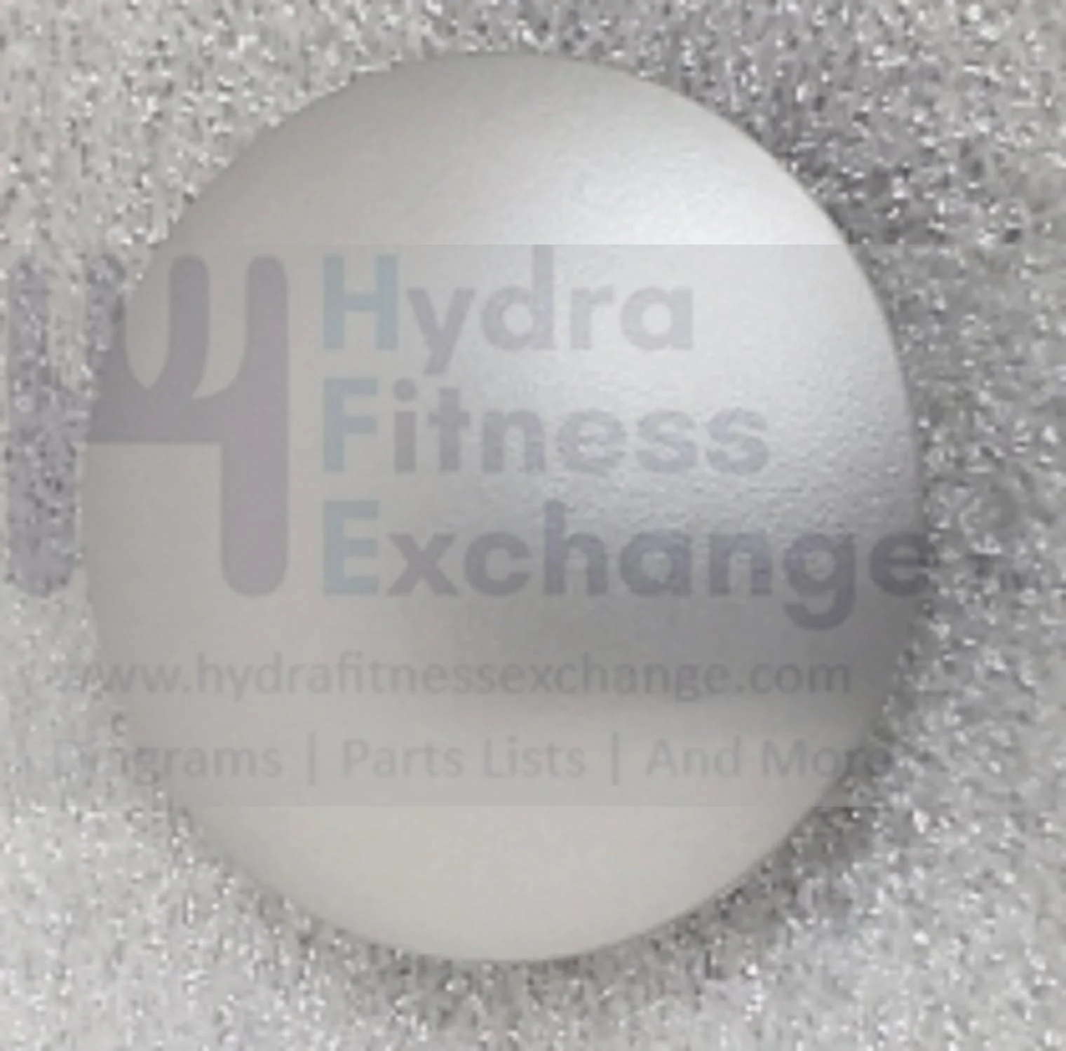 Vision Fitness EP633 EP632 Elliptical Swing Arm End Cap 1000409891 - Image 2
