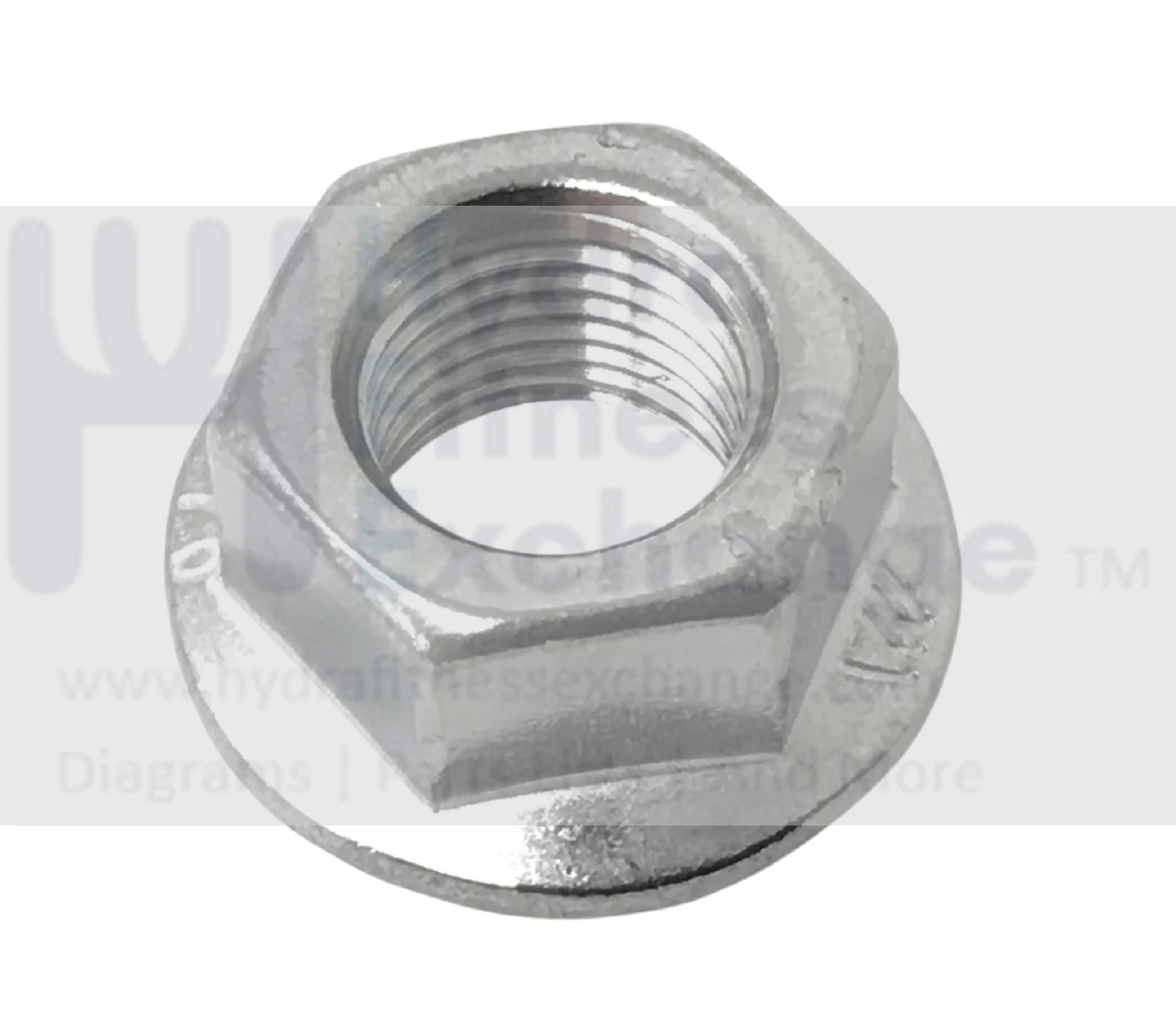 Vision Fitness ES600 ES700 Stationary Bike Flange Hex Nut ZMS1000360