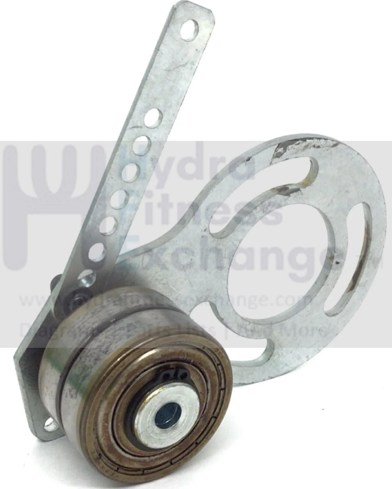 Vision Fitness Stationary Bike Idler Belt Pulley Tensioner Assembly 023065-Z