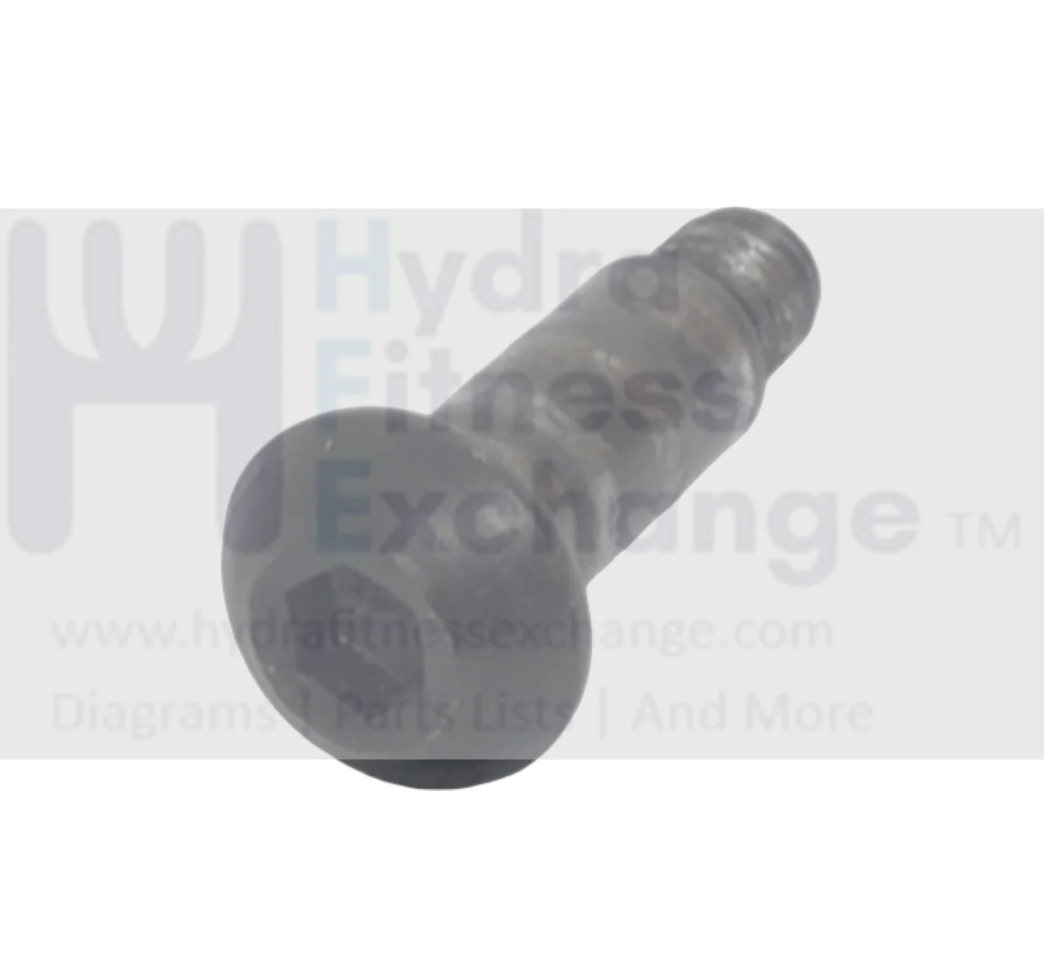 Vision Fitness T9550 T9250 Treadmill Button Head Special Screw M8 - 1.25 x 1/4"