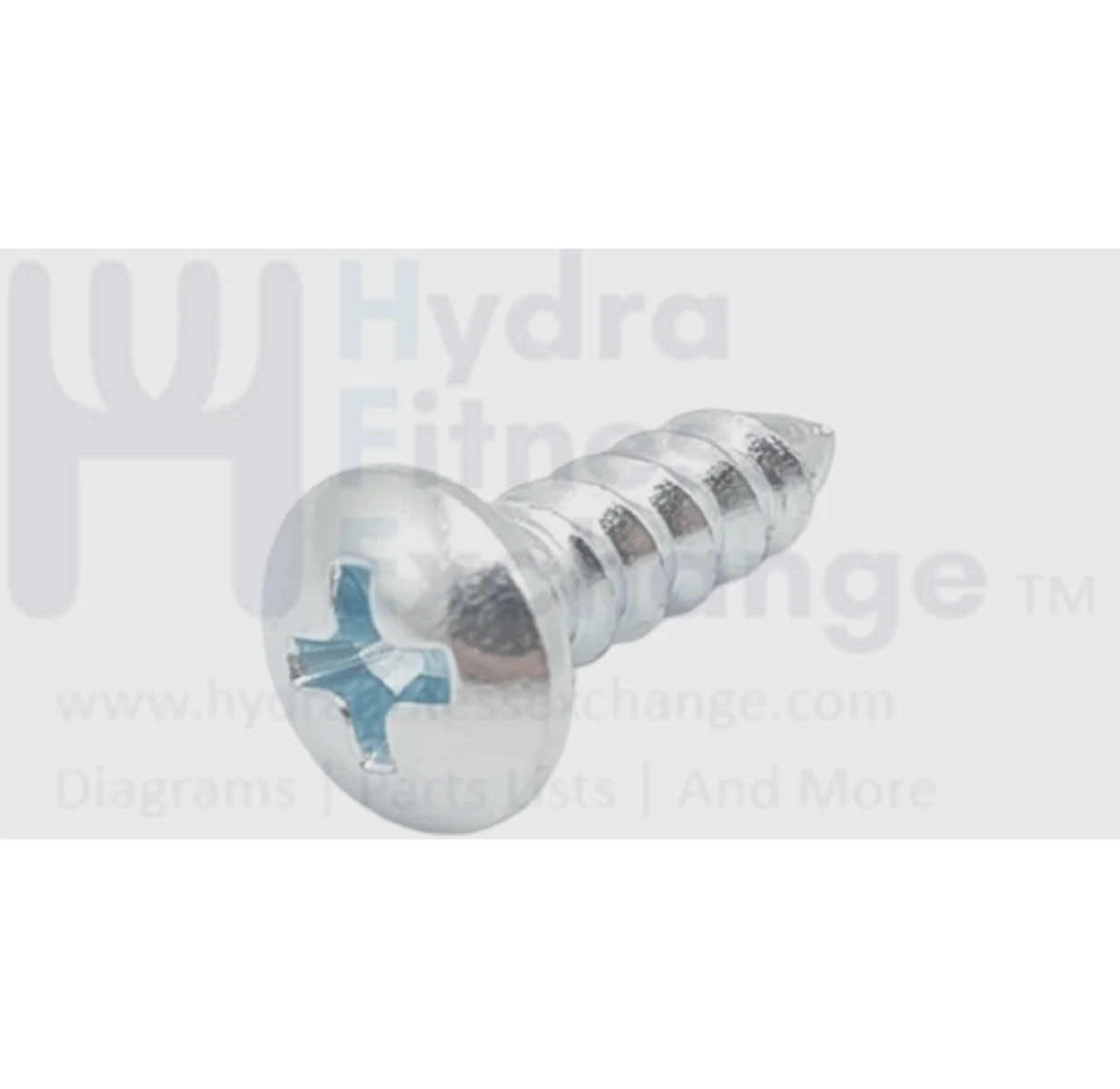 Vision Fitness TM742B TM743B TM789B Treadmill Metal Sheet Button Head Screw Diam.5 x 15L 1000315051