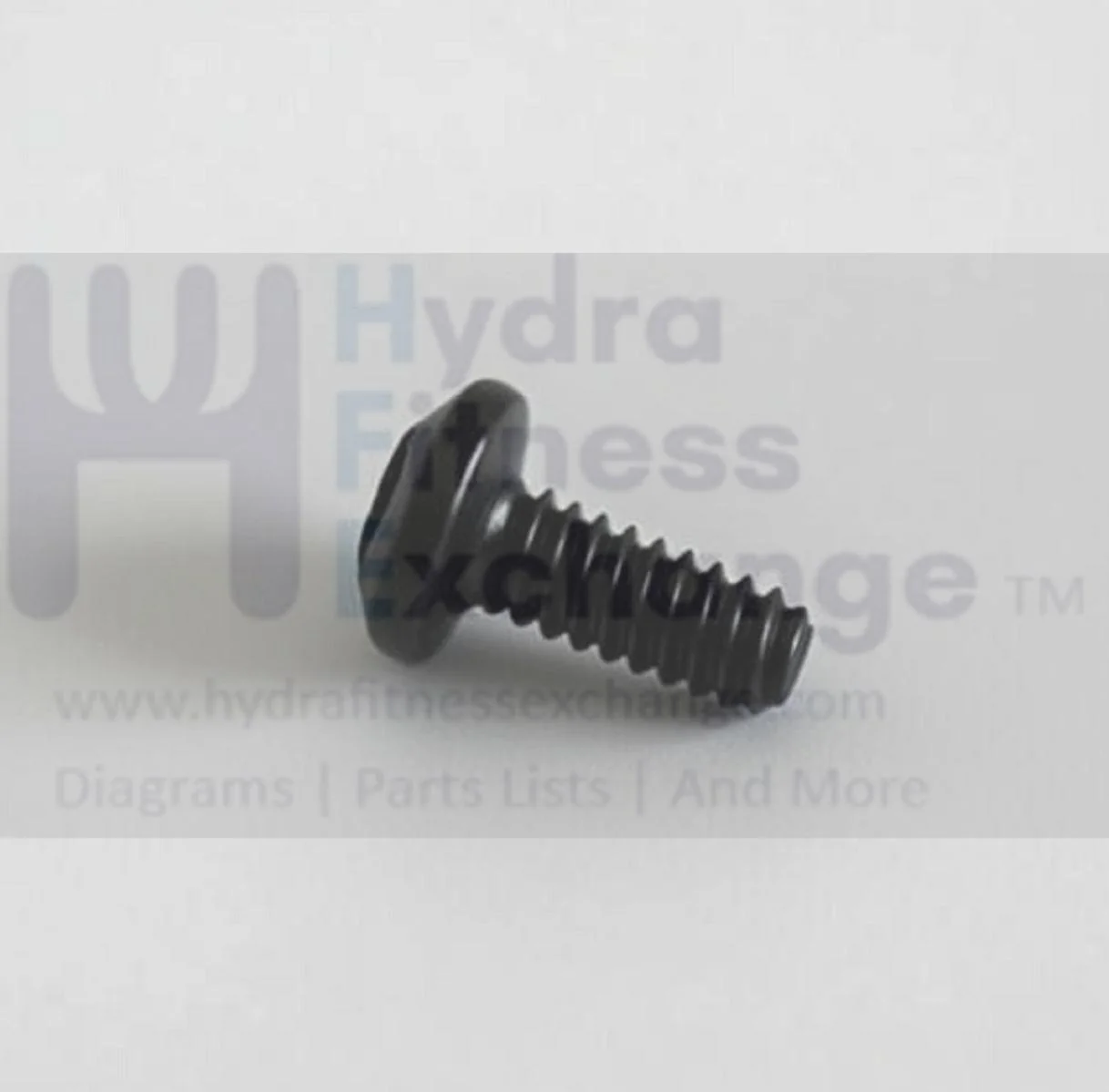 Vision Fitness TM743B Treadmill Button Head Phillip Screw M3 x 8L 004353-00 - Image 2