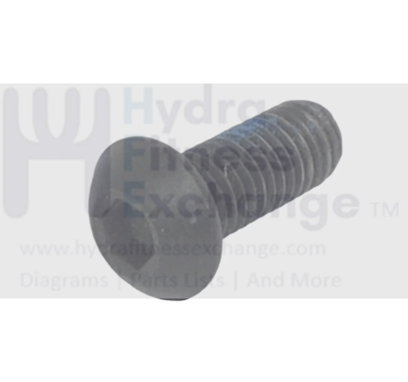 Vision Fitness Treadmill Button Head Hex Socket Screw M8 - 1.25 x 20mm 004720-00
