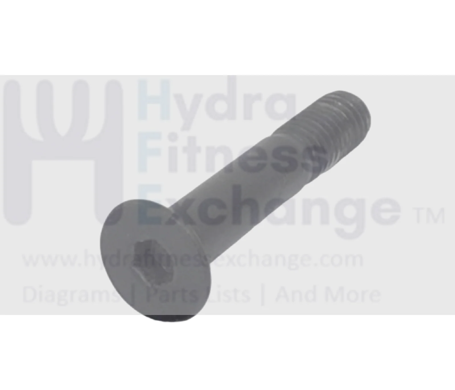 Vision Fitness Treadmill Flat Head Hex Socket Screw M8 - 1.25 x 45mm 004584-A