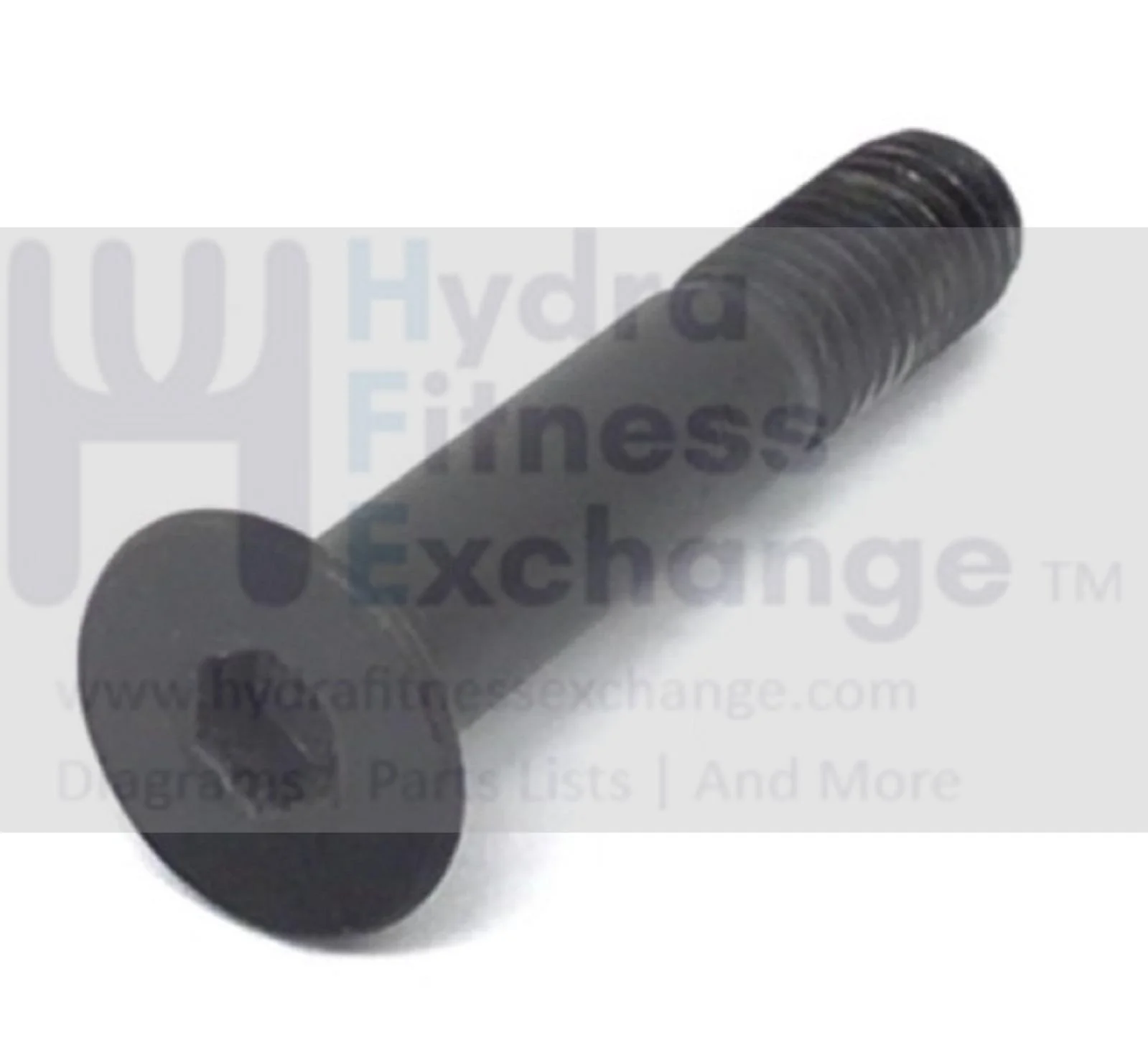 Vision Fitness Treadmill Flat Head Hex Socket Screw M8 - 1.25 x 45mm 004584-A - Image 2