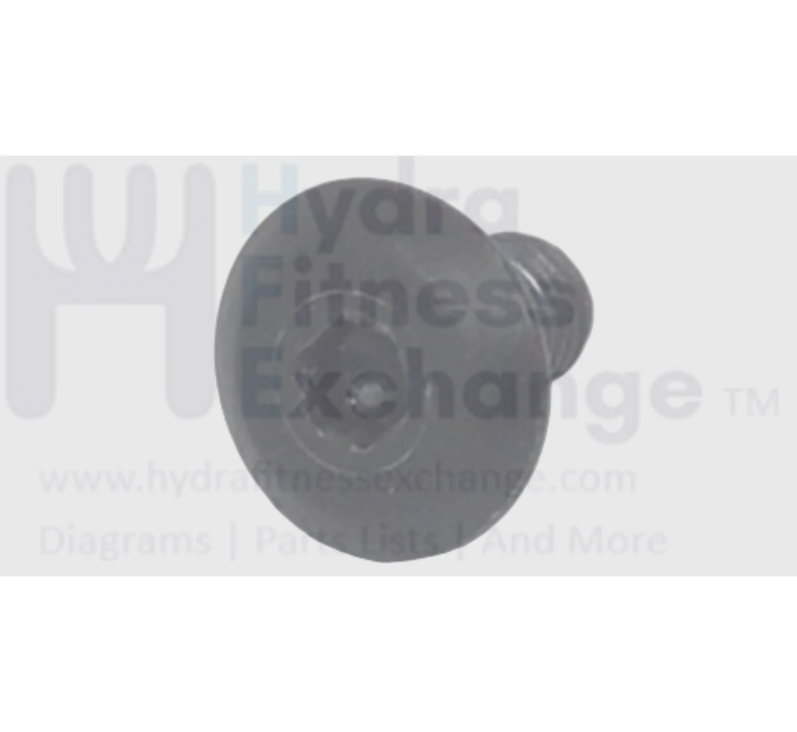 Vision Fitness Treadmill Flat Top Screw M8 - 1.25 x 15mm 741332