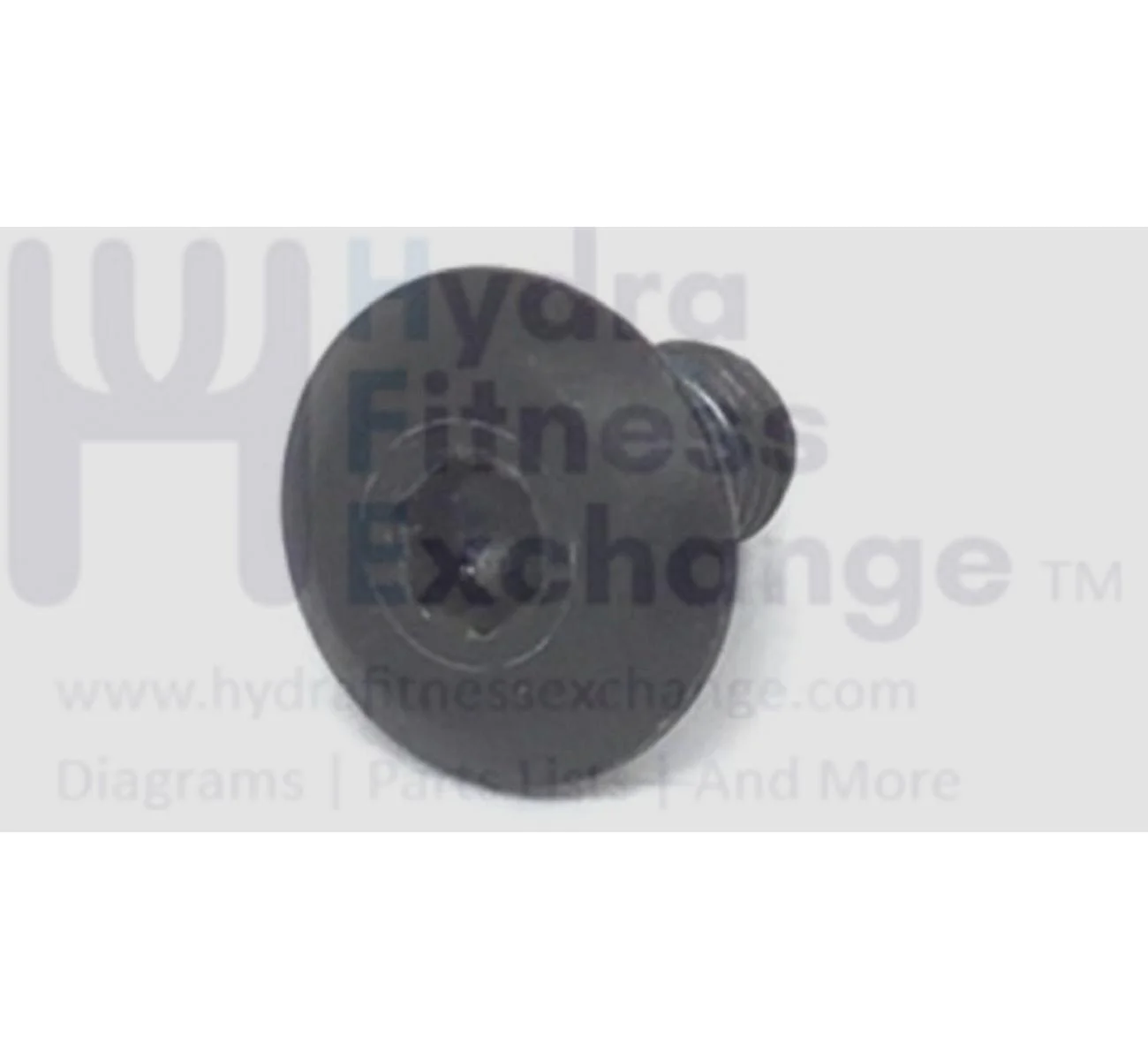 Vision Fitness Treadmill Flat Top Screw M8 - 1.25 x 15mm 741332 - Image 2