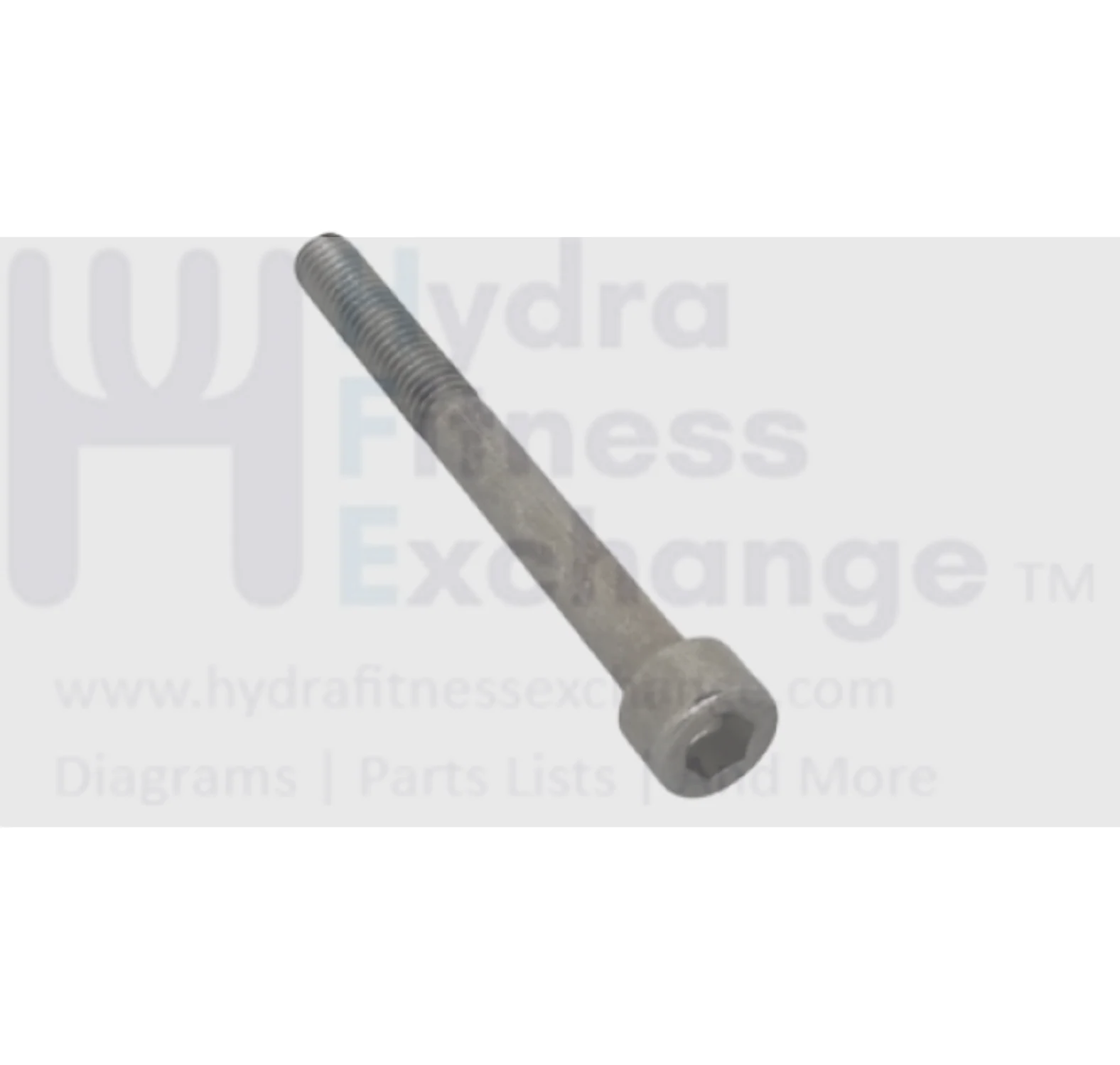 Vision Fitness Treadmill Hex Socket Head Screw M6 - 1.0P x 60L-10L 065612-00