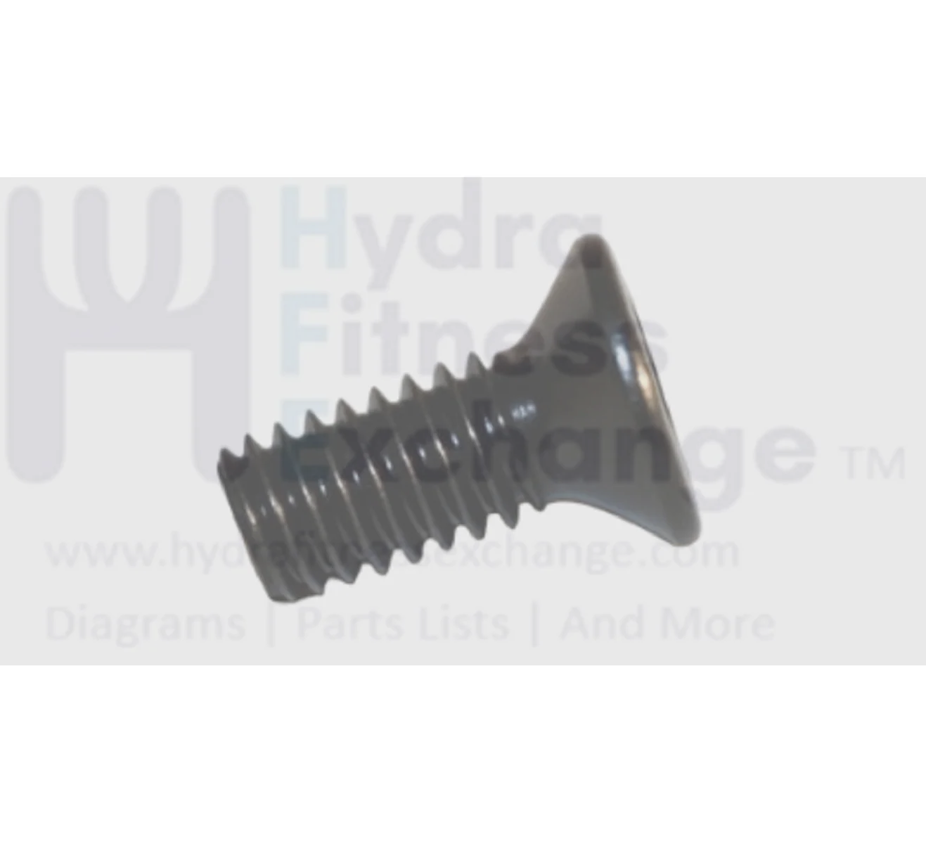 Vision Fitness Treadmill Plain Phillip Screw M5 - 0.8P x 13L 004437-AA