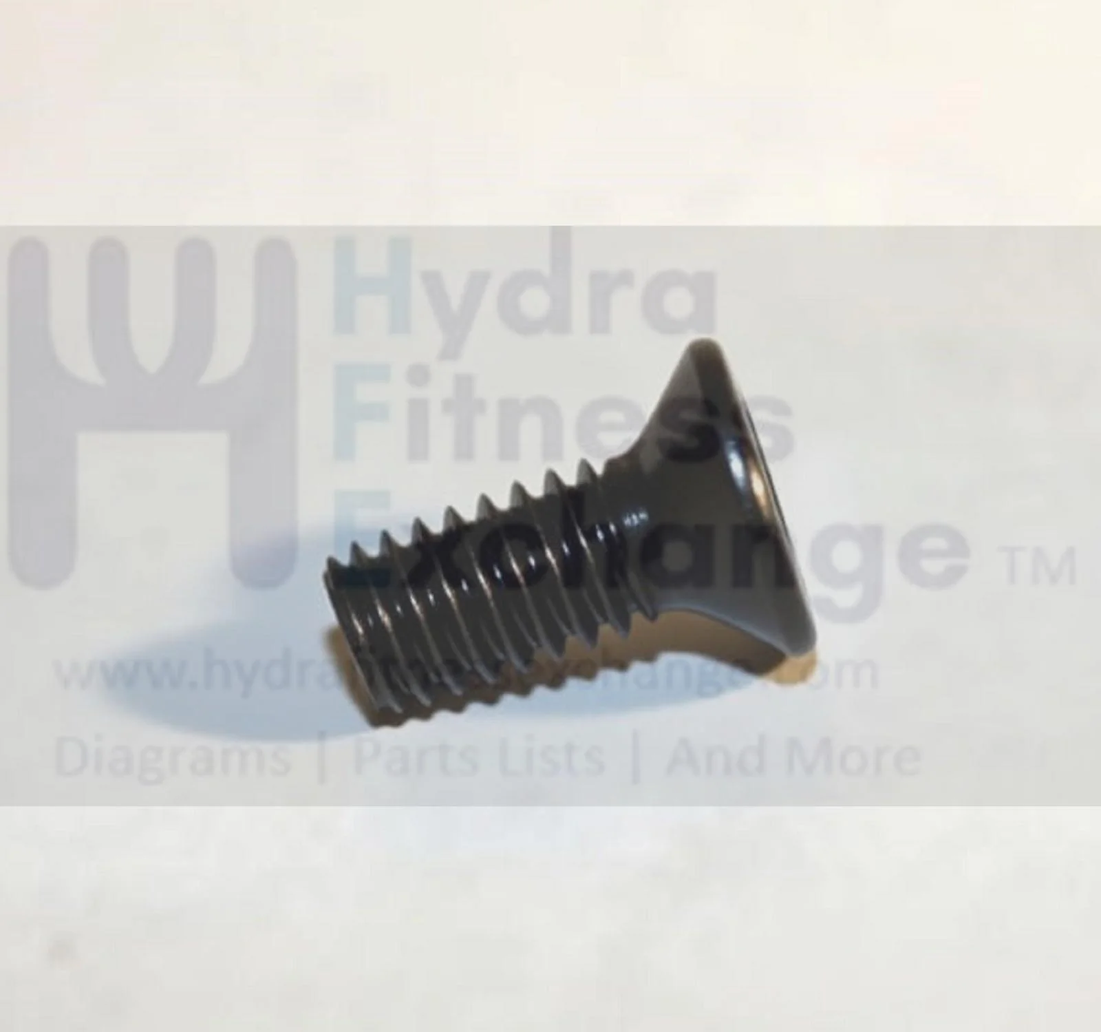 Vision Fitness Treadmill Plain Phillip Screw M5 - 0.8P x 13L 004437-AA - Image 2