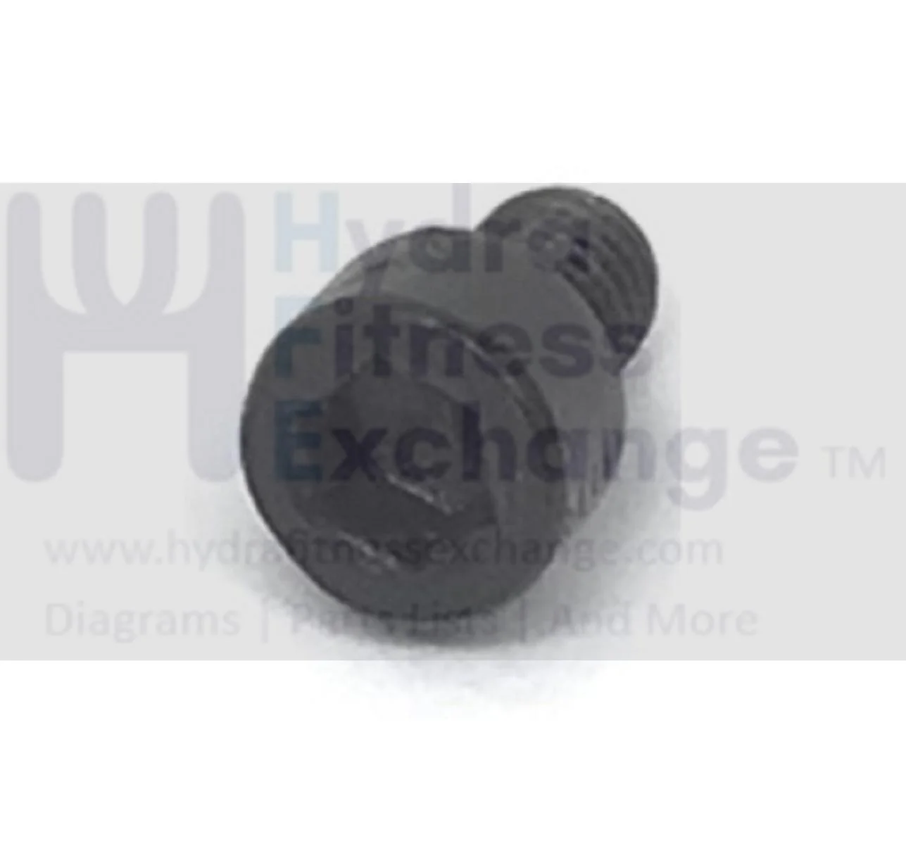 Vision Fitness Treadmill Round Head Cap Hex Socket Screw M6 - 1.0 x 10mm 74147 - Image 2