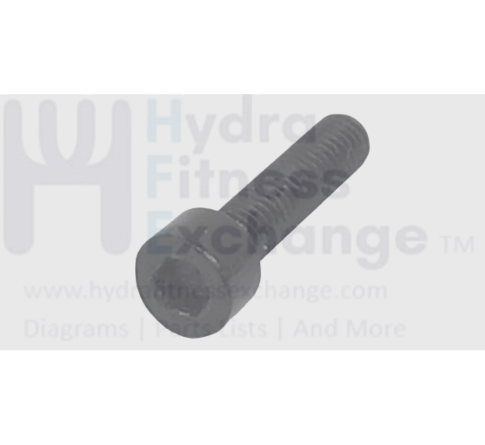 Vision Fitness Treadmill Round Head Hex Socket Screw  M6 - 1.0 x 30mm 004526-00