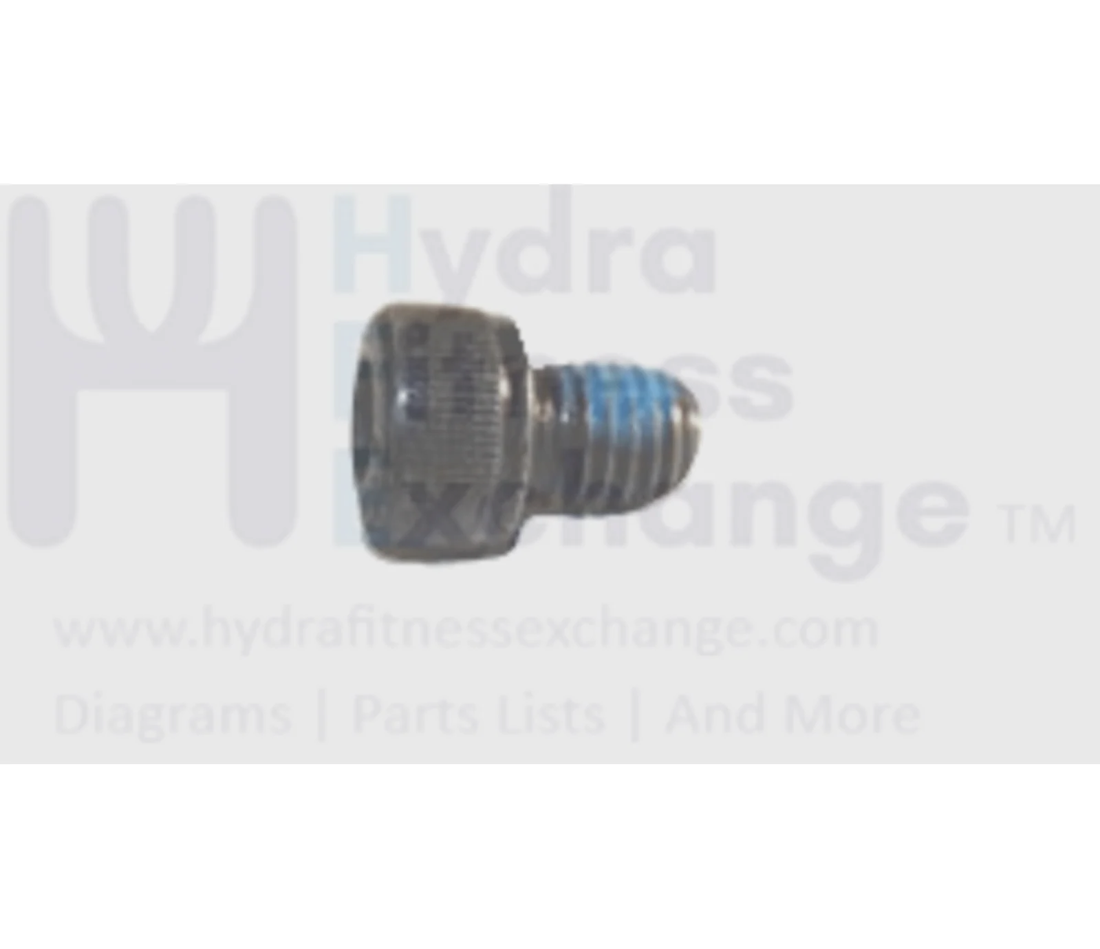 Vision Fitness X66xx X70 EP303 Elliptical Socket Cap Screw M8X1.25PX25 004489-00