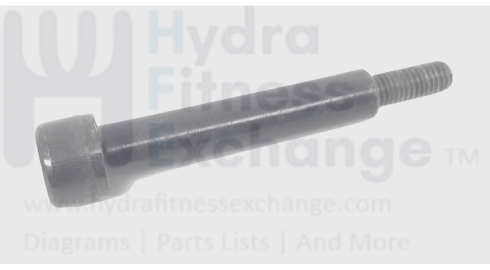 Vision Fitness X70 - Titanium Silver Elliptical Socket Cap Shoulder Screw Bolt