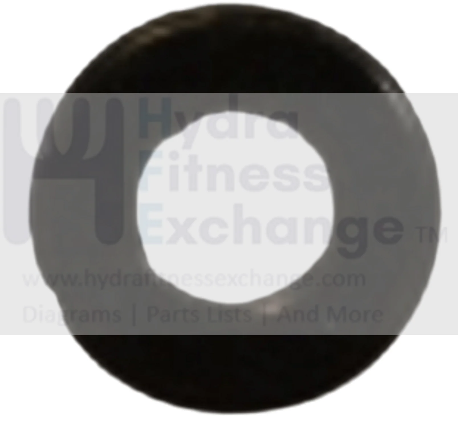 Vision Horizon Fitness Elliptical Flat Washer 064674-A