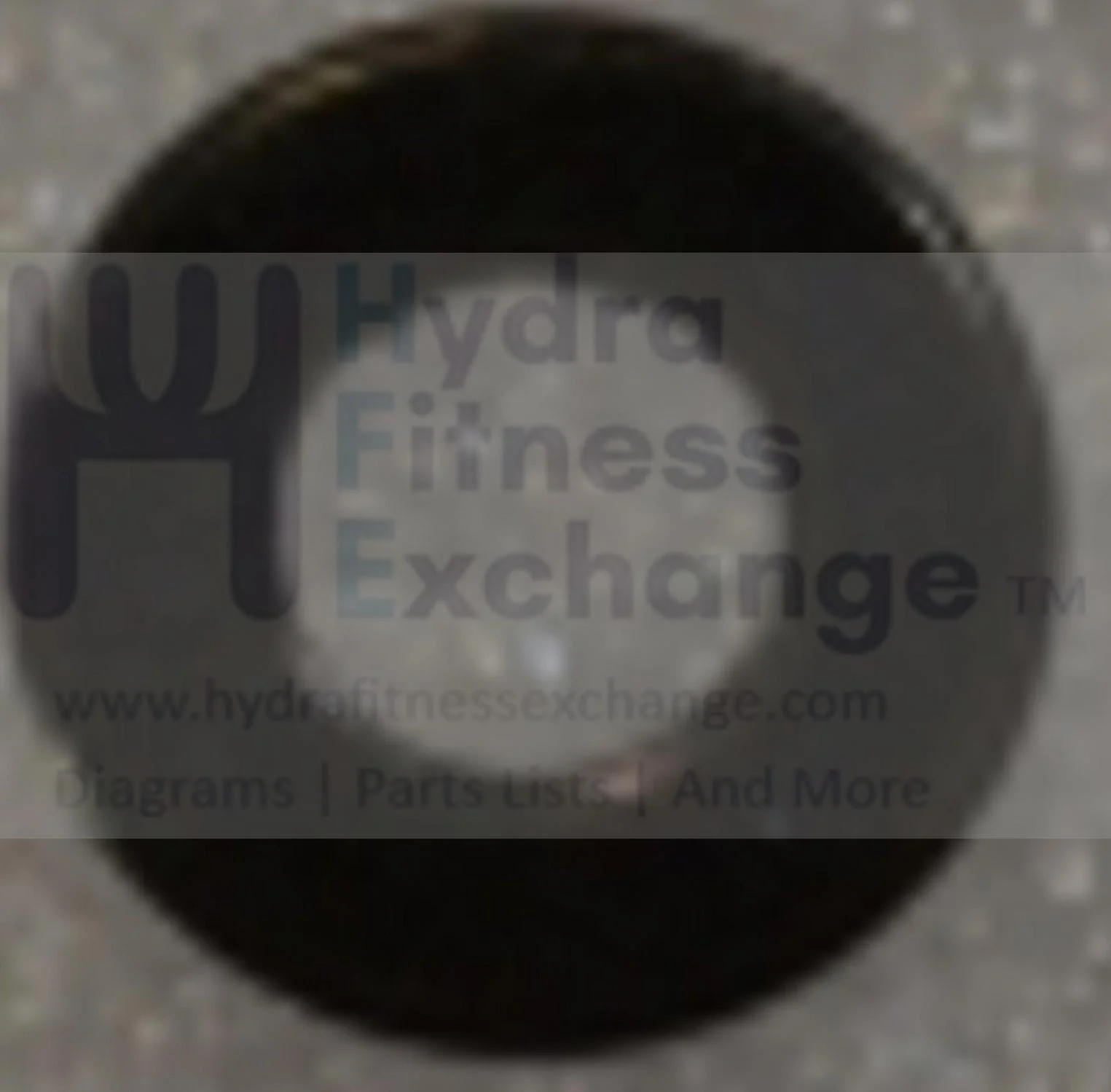 Vision Horizon Fitness Elliptical Flat Washer 064674-A - Image 2
