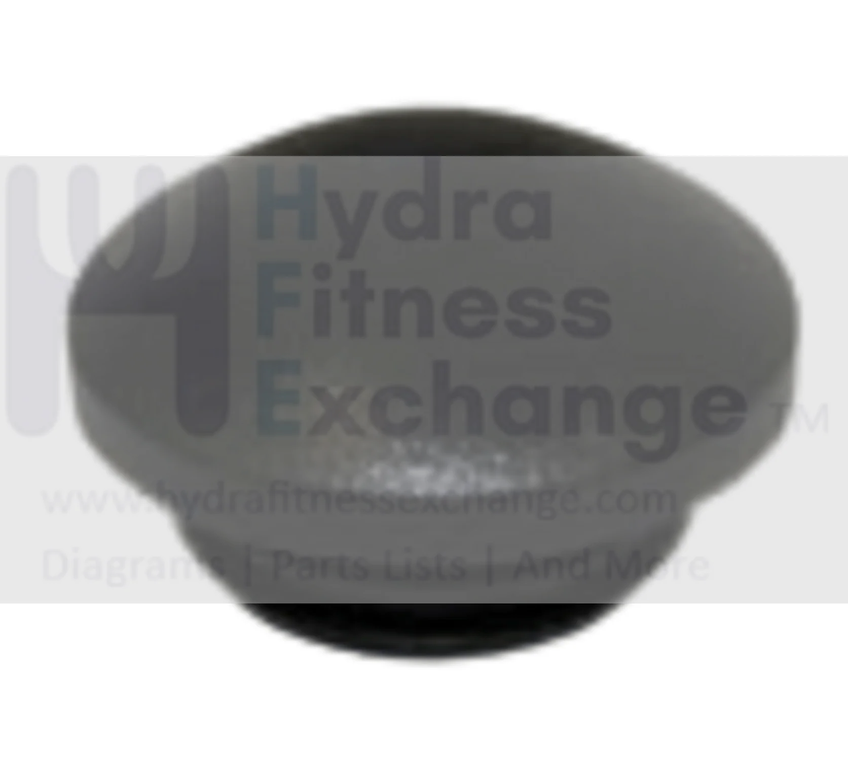 Vision Horizon Fitness Fitnessgear AFG Triumph Merit Elliptical Pulse Grip End Cap 000940-A