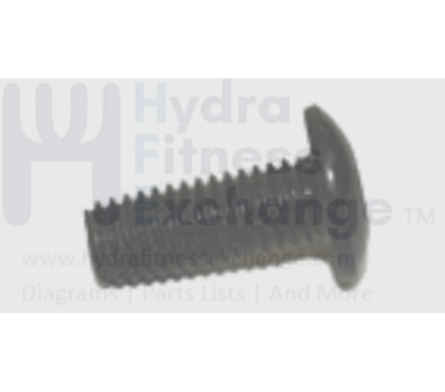Vision Horizon Fitness TM211 TM252 TM239 Treadmill Screw M8 - 1.25P x 19L 004722-00
