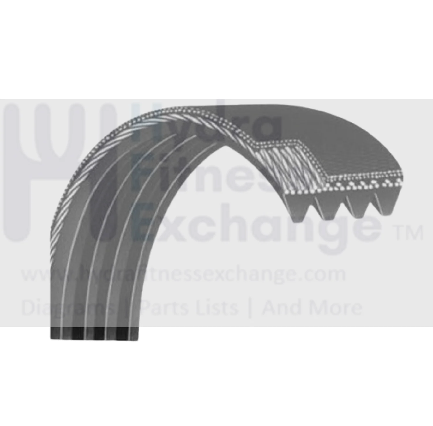 Vision Horizon Fitness Treadmill Poly-V Flexonic Pulley Drive Belt 1000109551