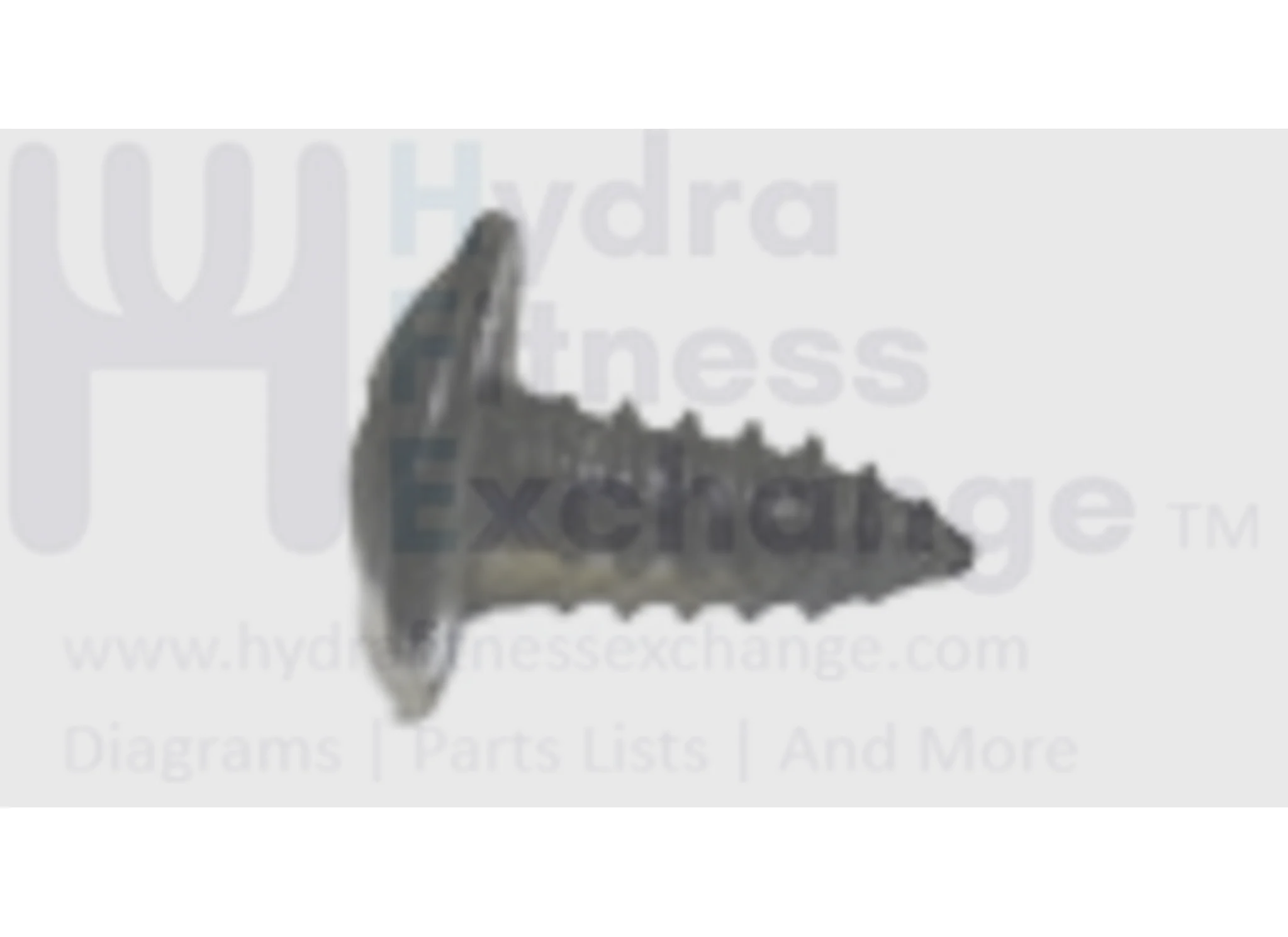 Vision Horizon Fitness X30 X20 CST3.6 CST4.6 LS925T RCT7.6 RST5.6 T73 T74 Treadmill Screw 5 x 13L 004863-00