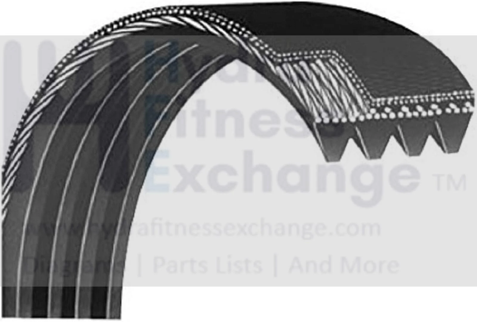Vision Matrix Fitness Elliptical Pulley Drive Belt 46" Rib 16 0000094297